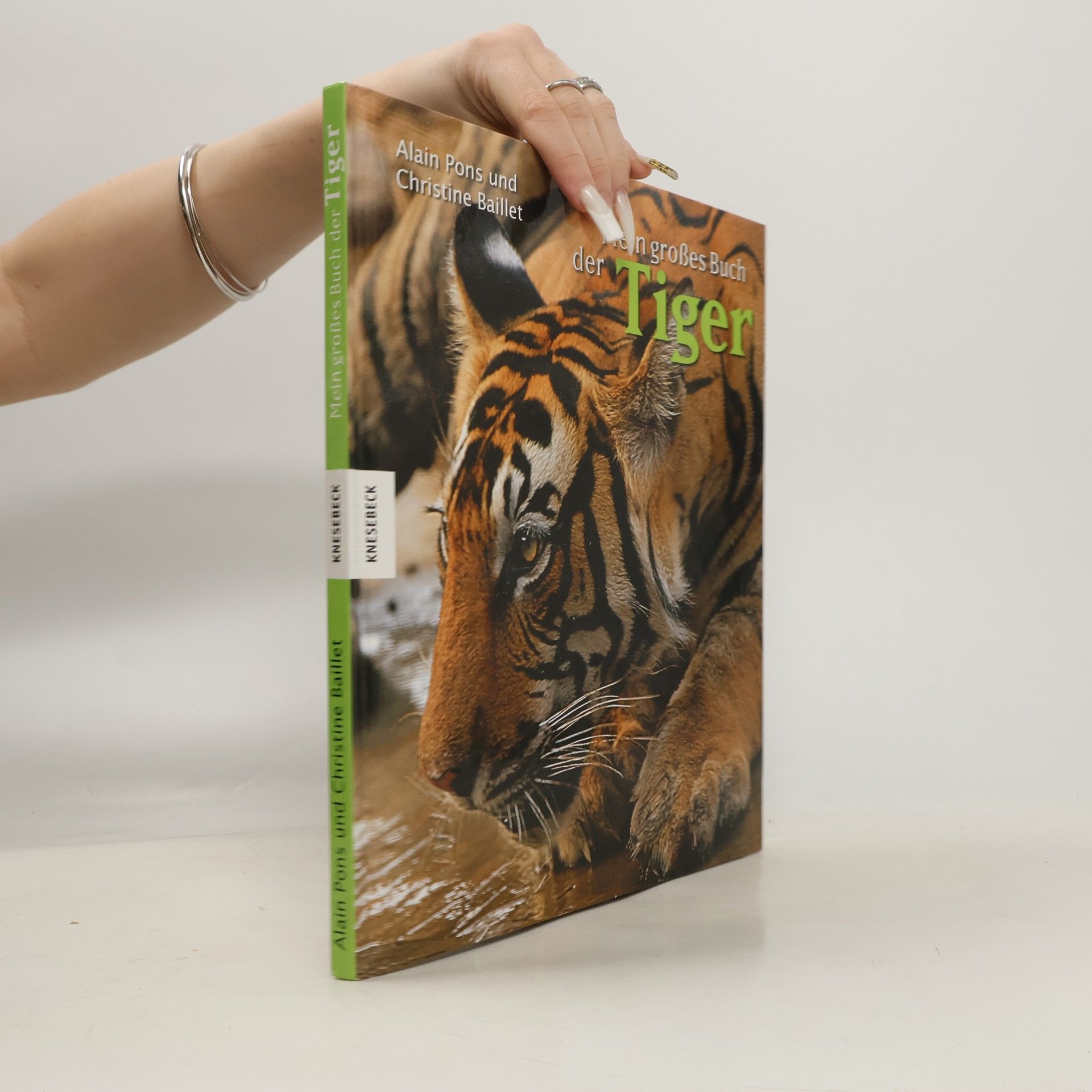 Alain Pons Mein großes Buch der Tiger