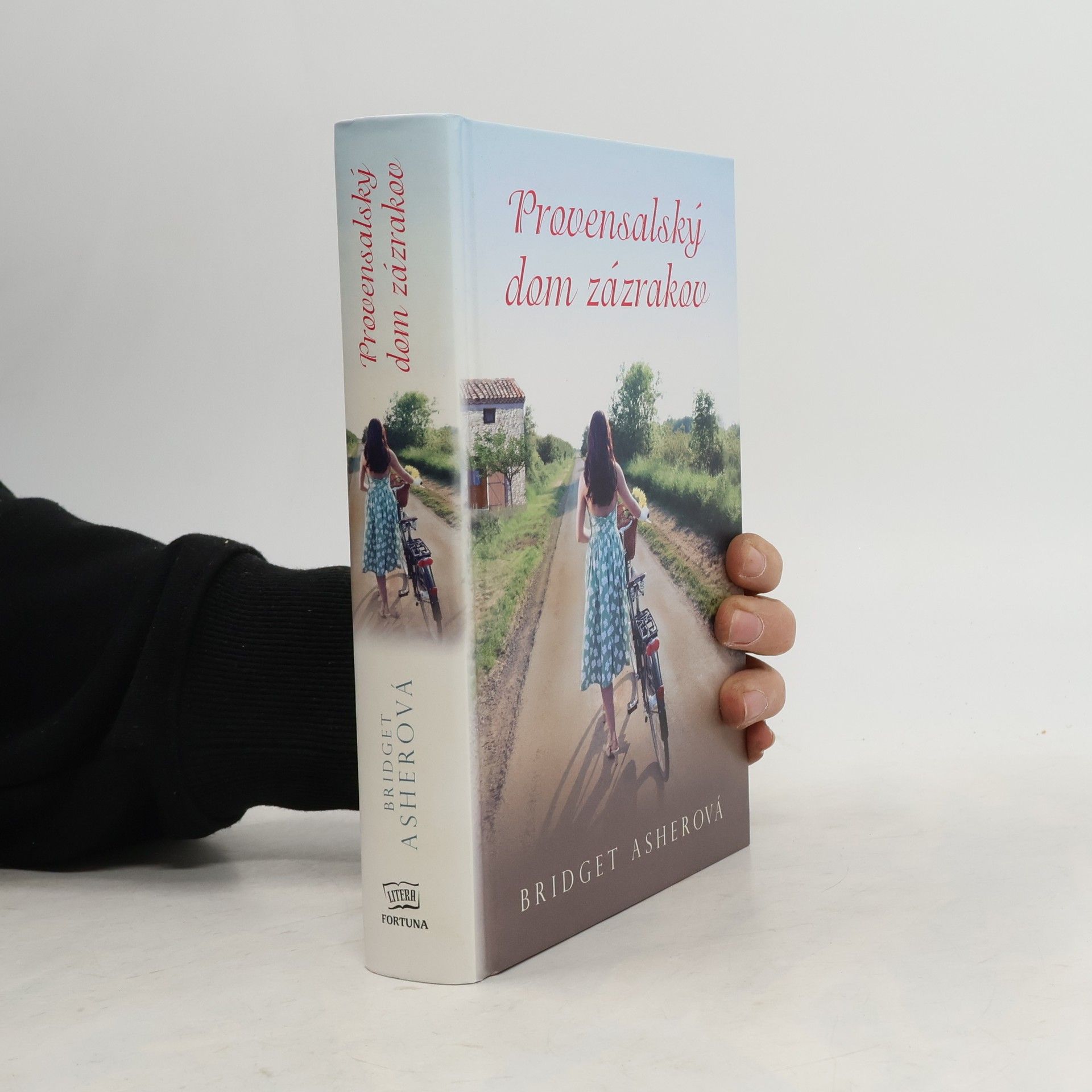 Bridget Asher Provensalský dom zázrakov