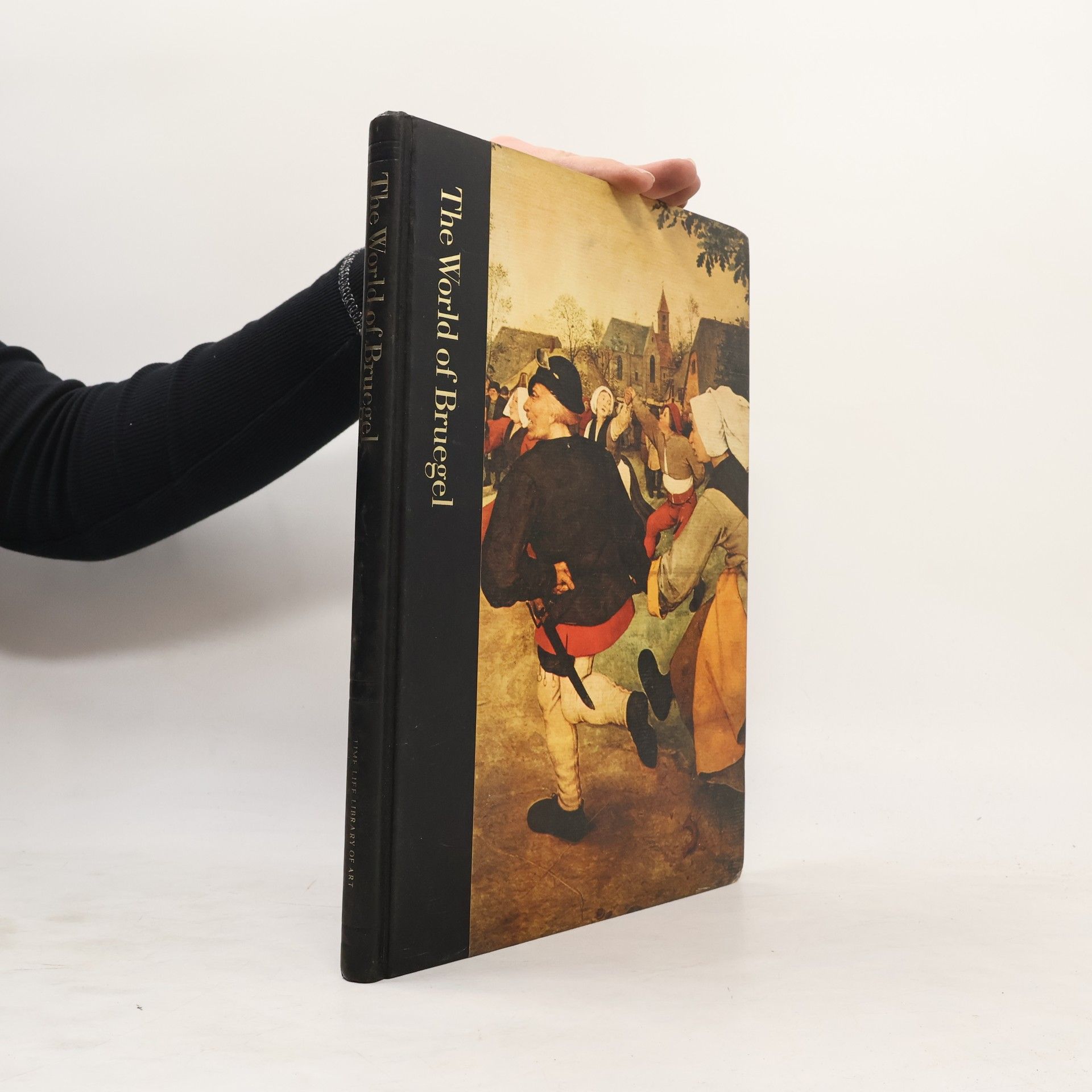 Kolektiv autorů The World of Bruegel