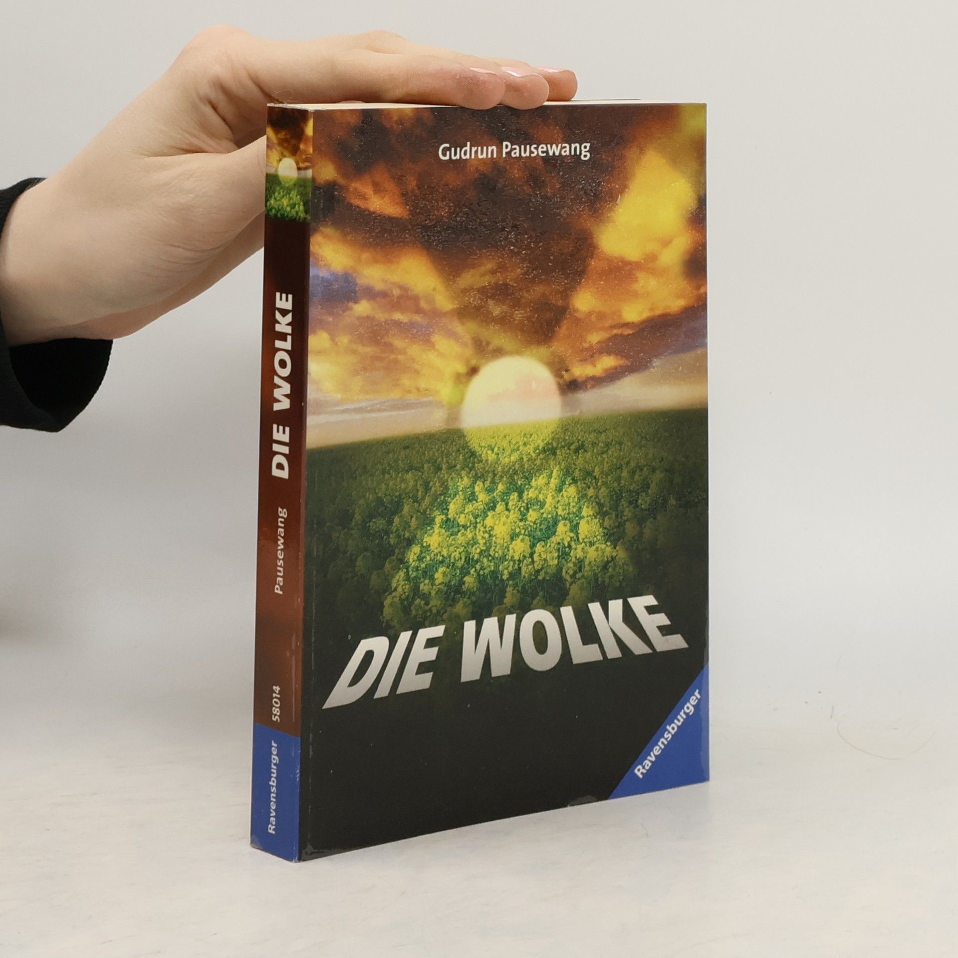 Gudrun Pausewang Die Wolke