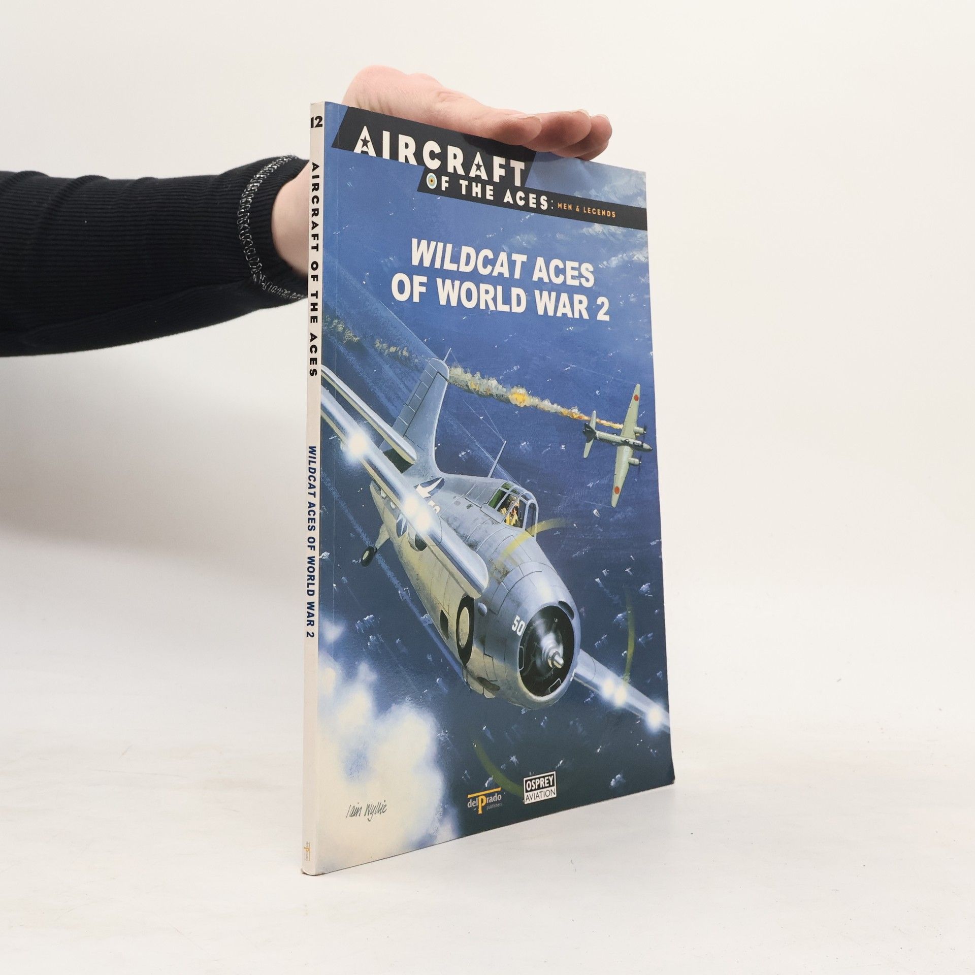 Kolektív autorov Wildcat Aces of World War 2