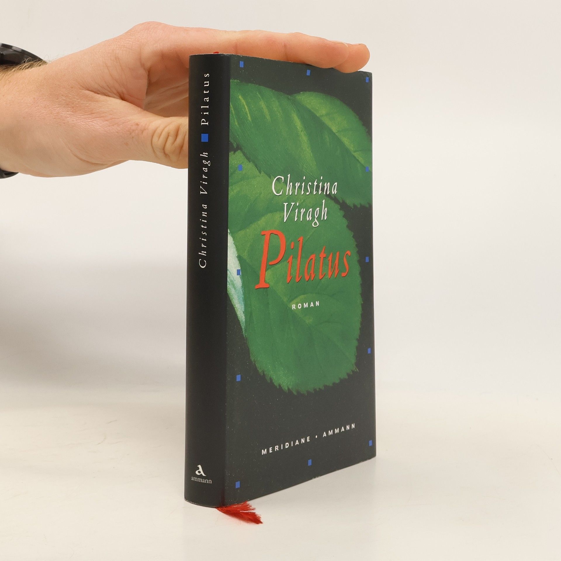 Christina Viragh Pilatus