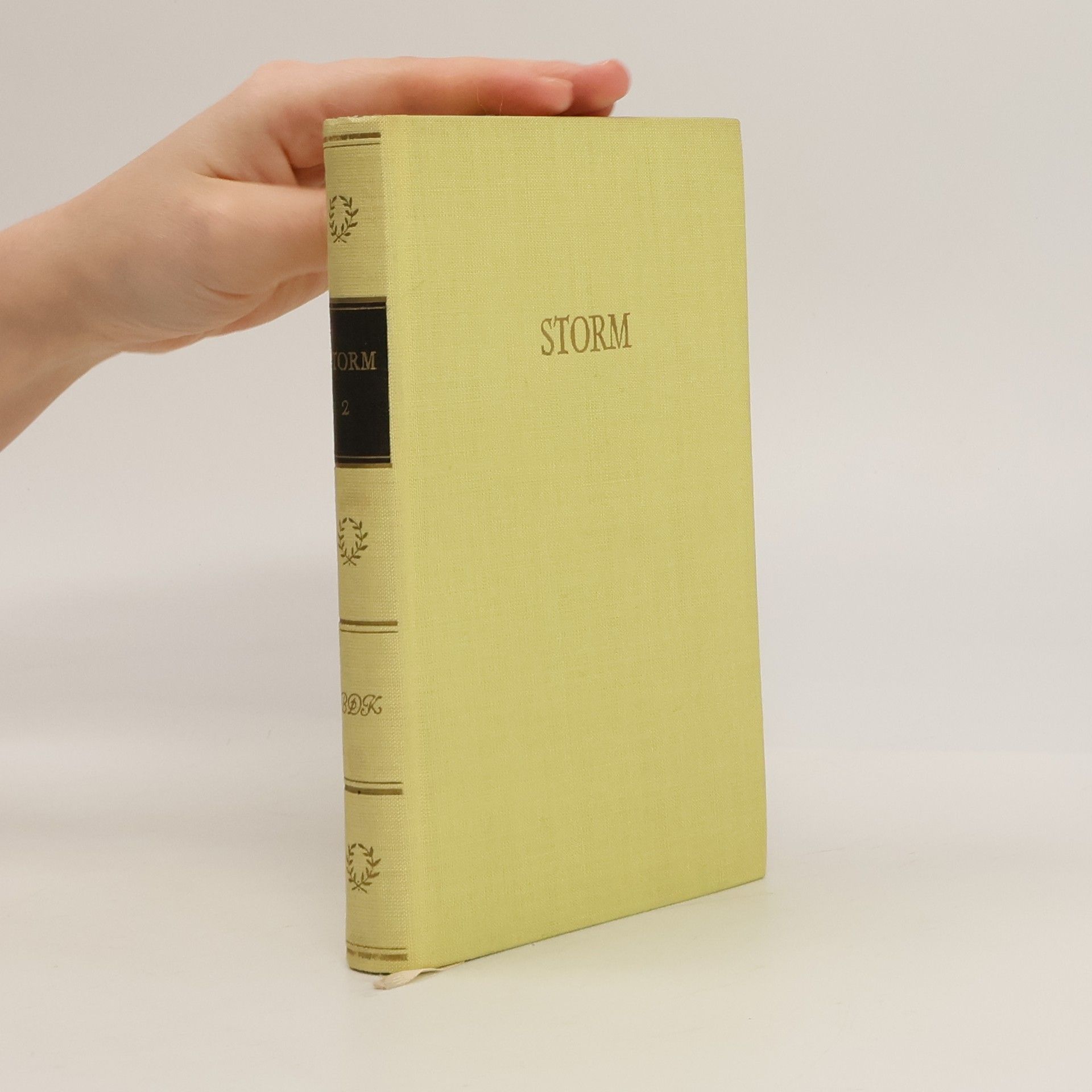 Theodor Storm Storms Werke 2