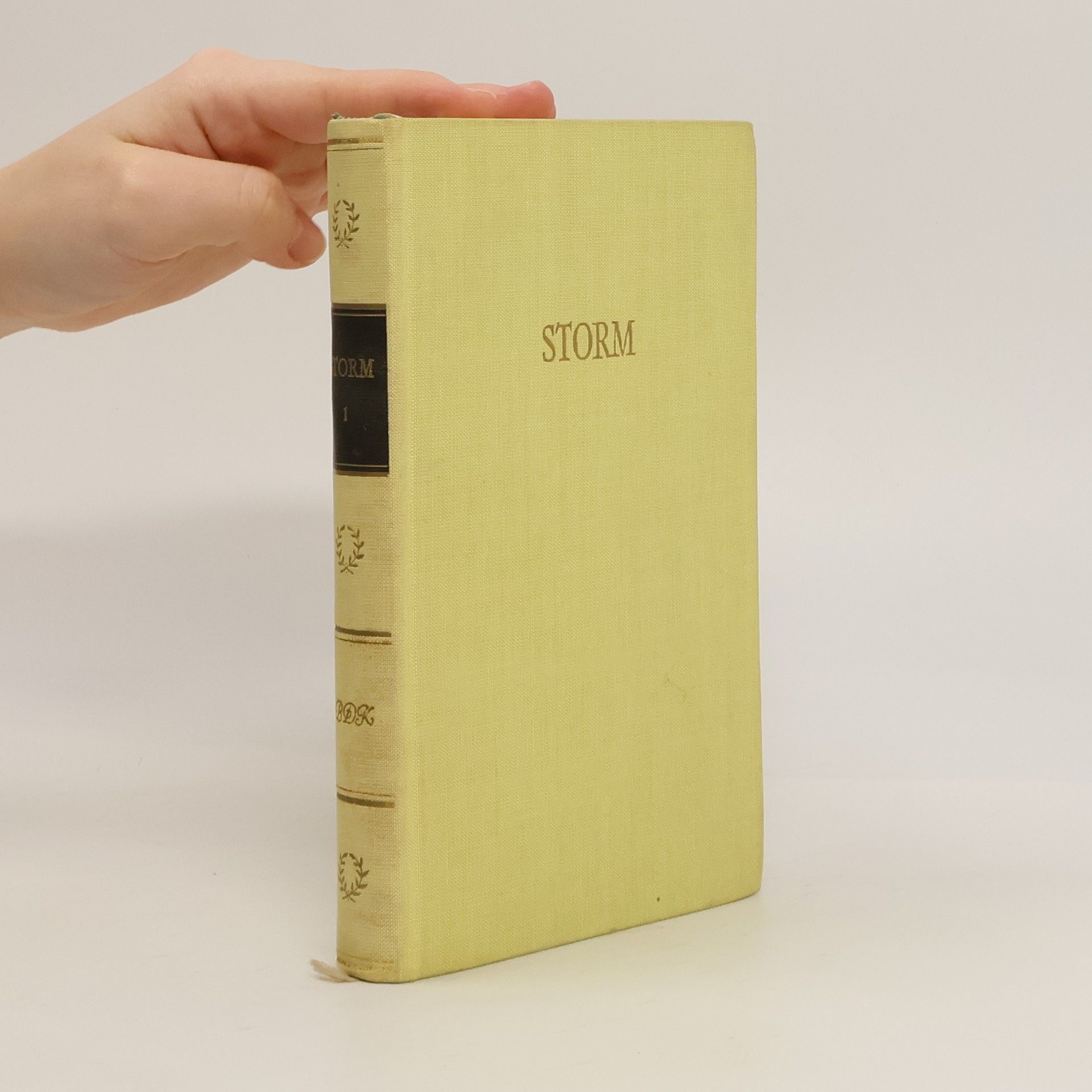 Theodor Storm Storms Werke 1