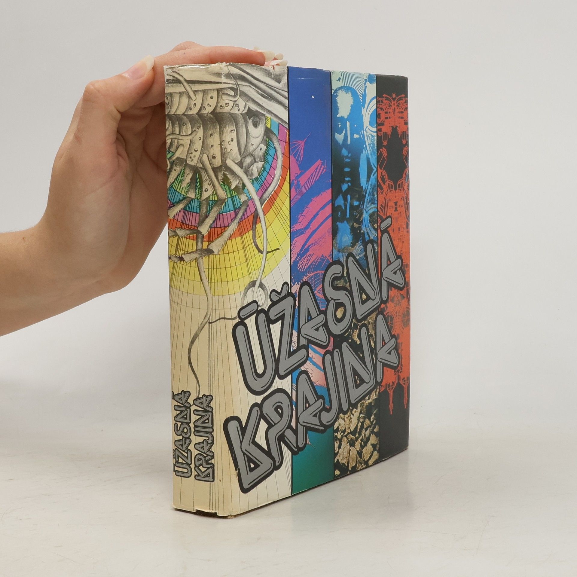 Kolektiv autorů Úžasná krajina