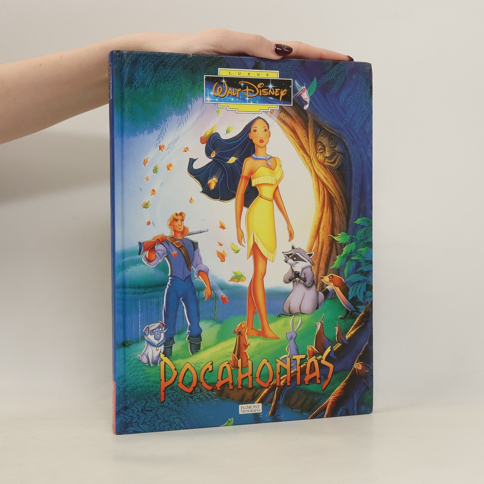 Walt Disney Pocahontas