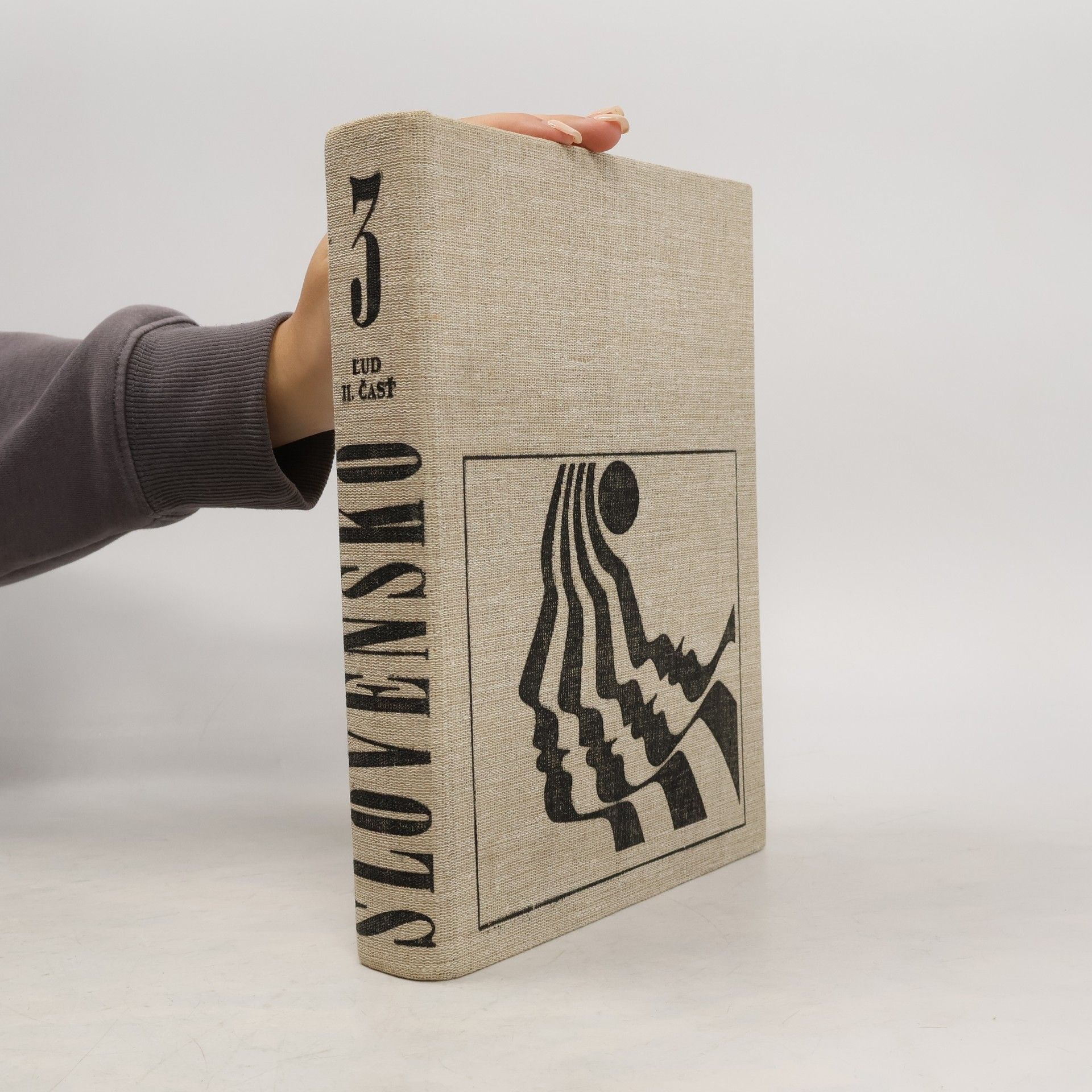 Pavel Plesník Slovensko 3. Luď II.