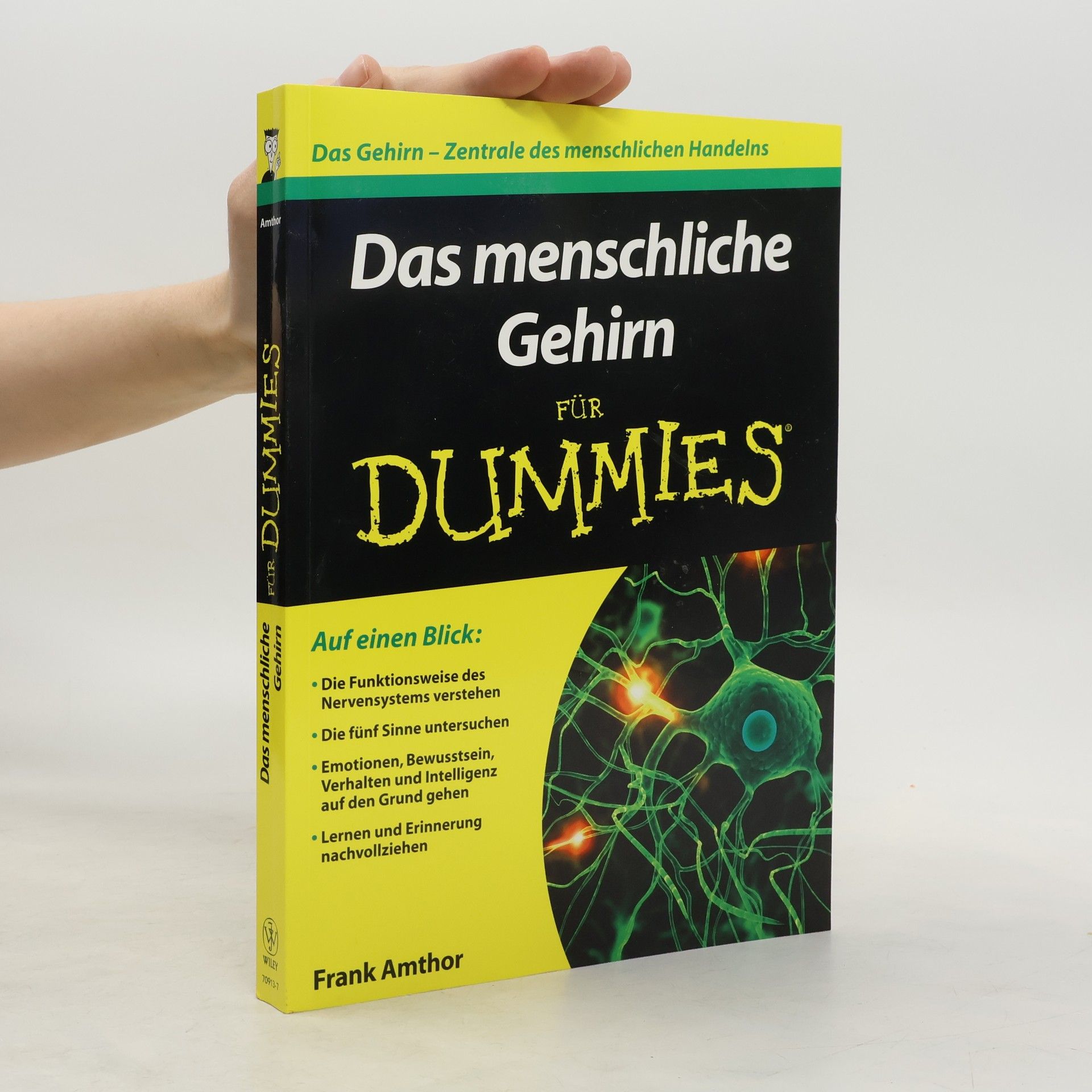 Frank Amthor Das menschliche Gehirn für Dummies