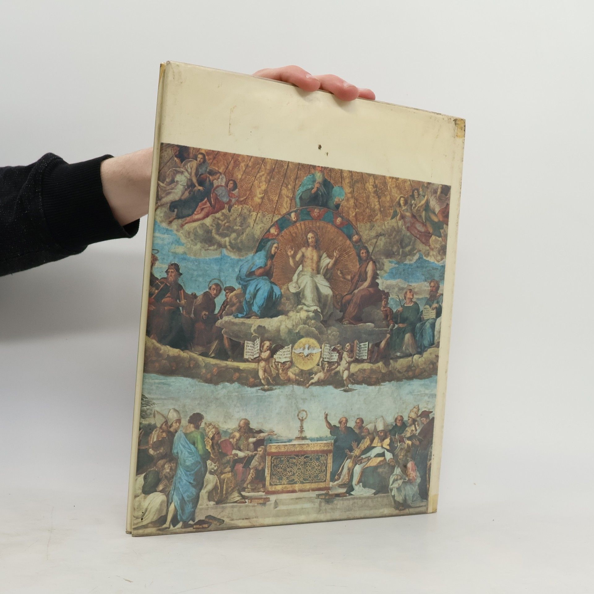 Liana Bortolon The Life and Times of Raphael
