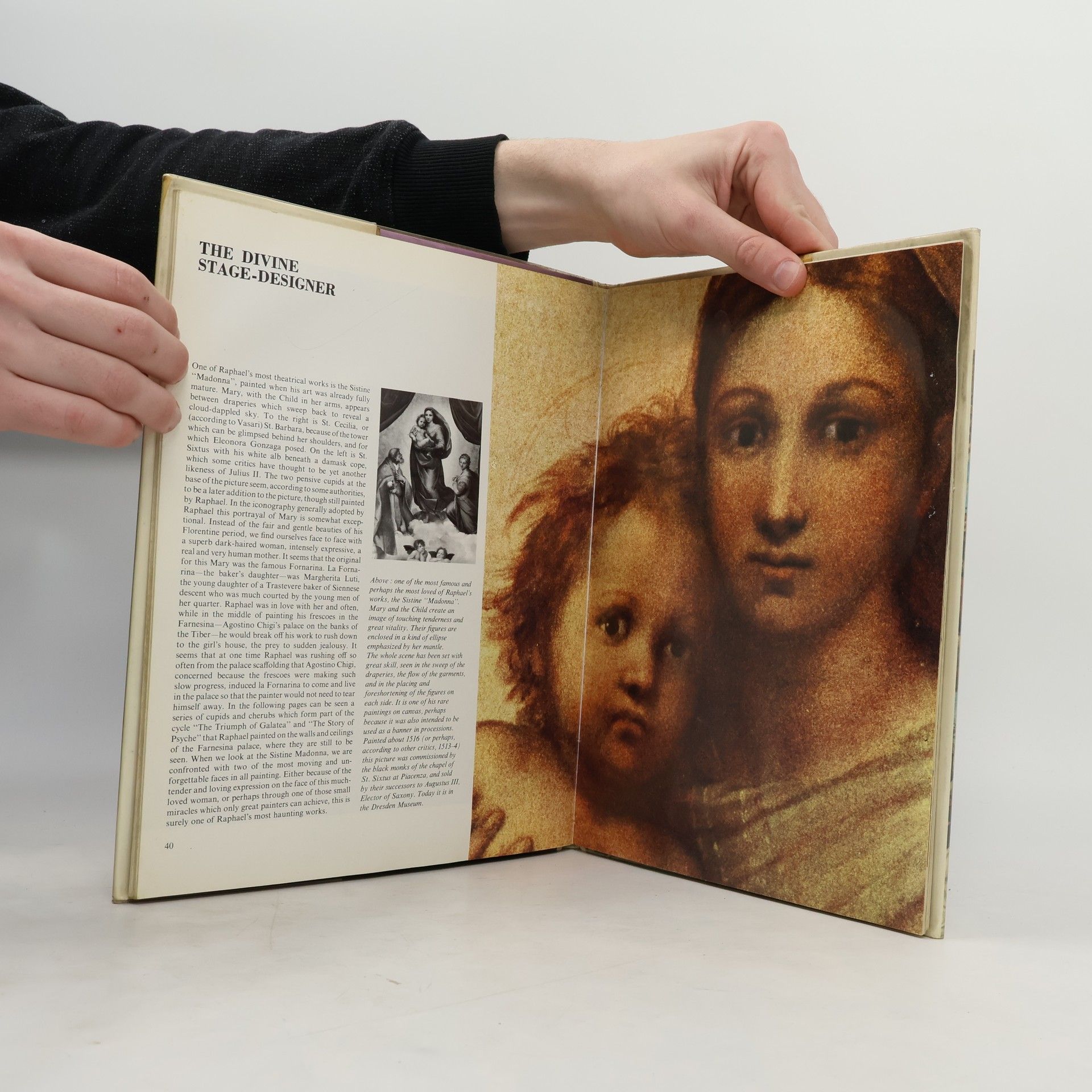 Liana Bortolon The Life and Times of Raphael
