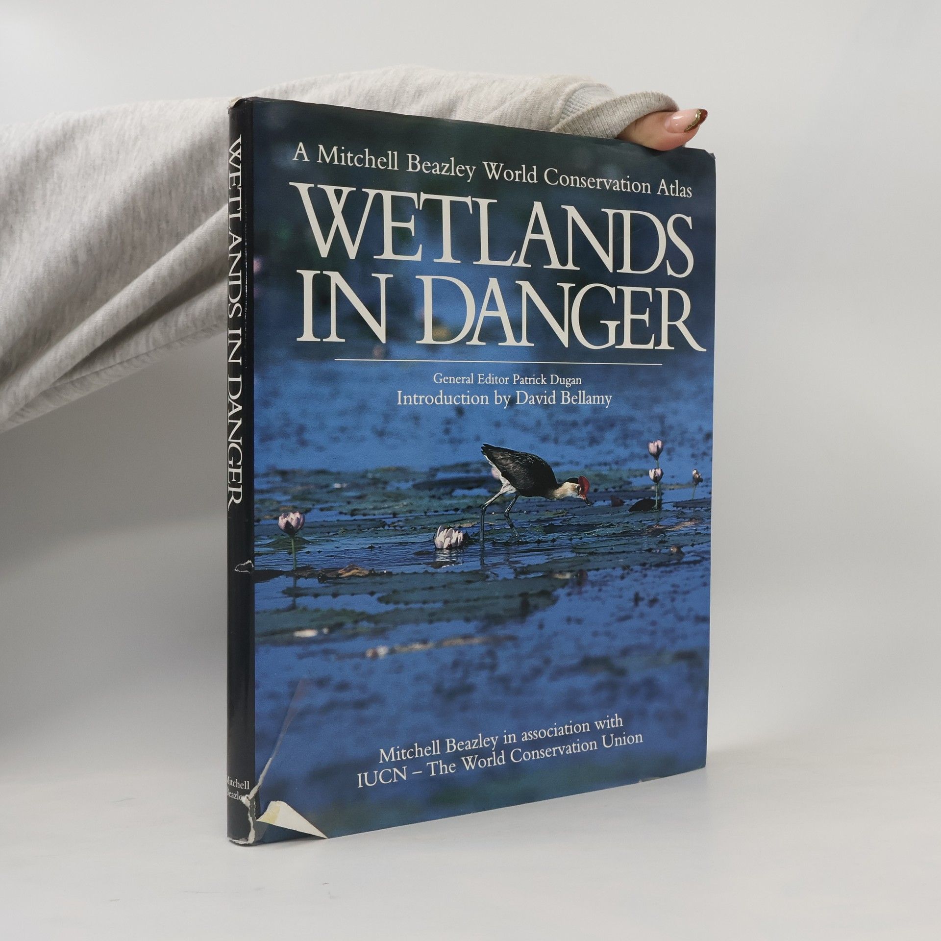 Patrick J. Dugan Wetlands in Danger