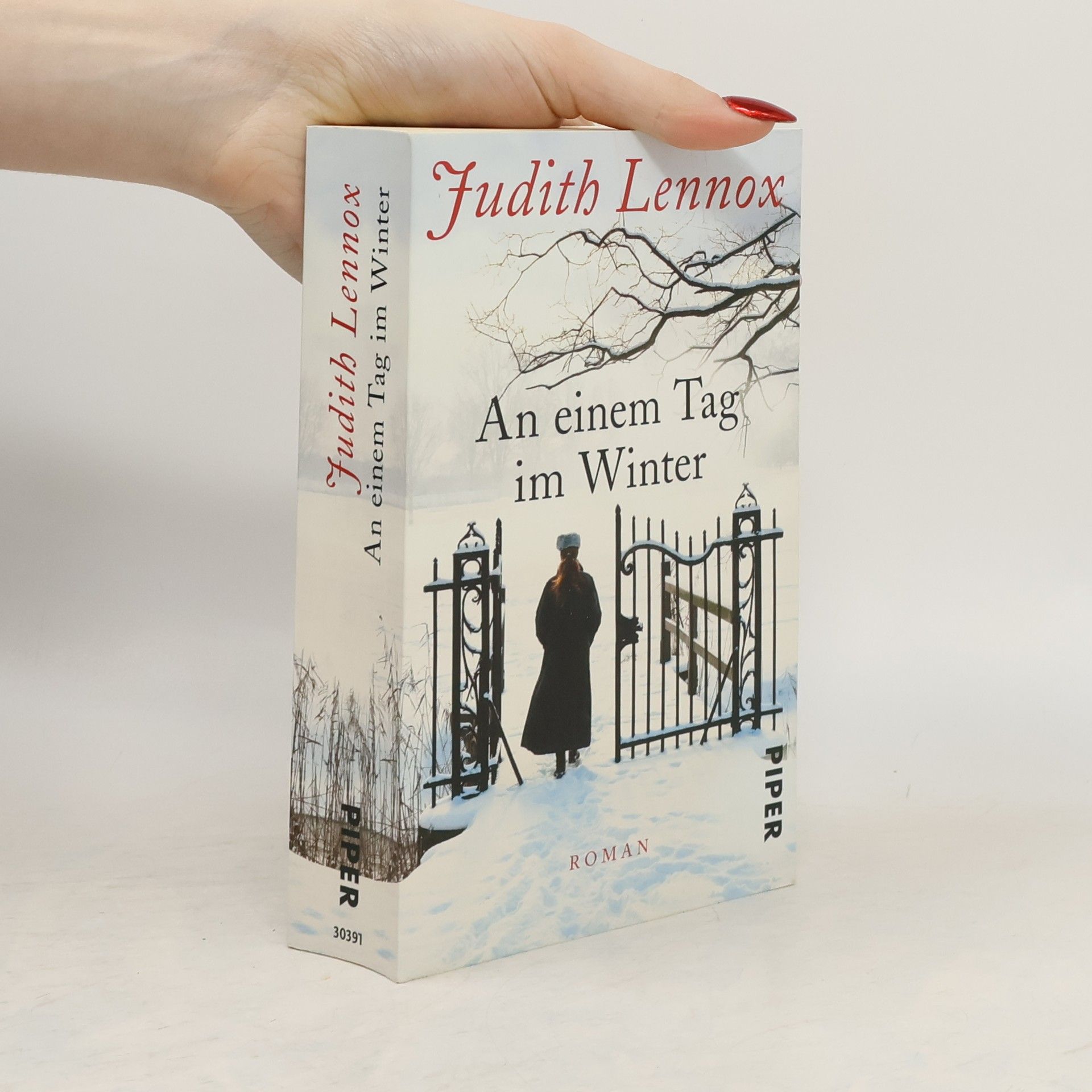 Judith Lennox An einem Tag im Winter