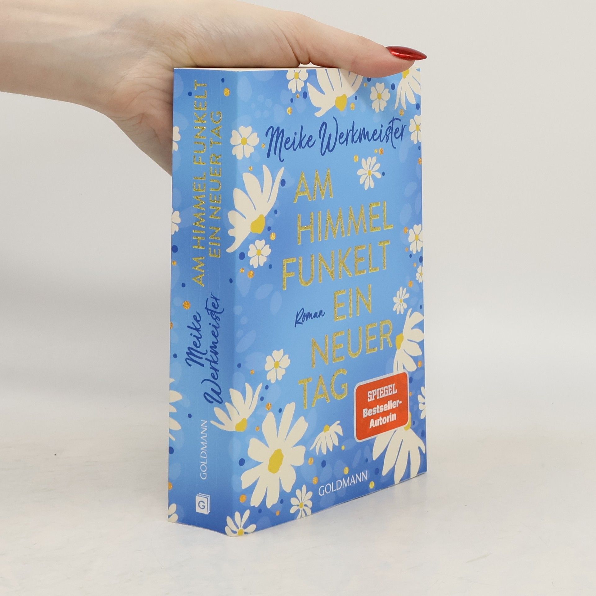 Meike Werkmeister Am Himmel funkelt ein neuer Tag