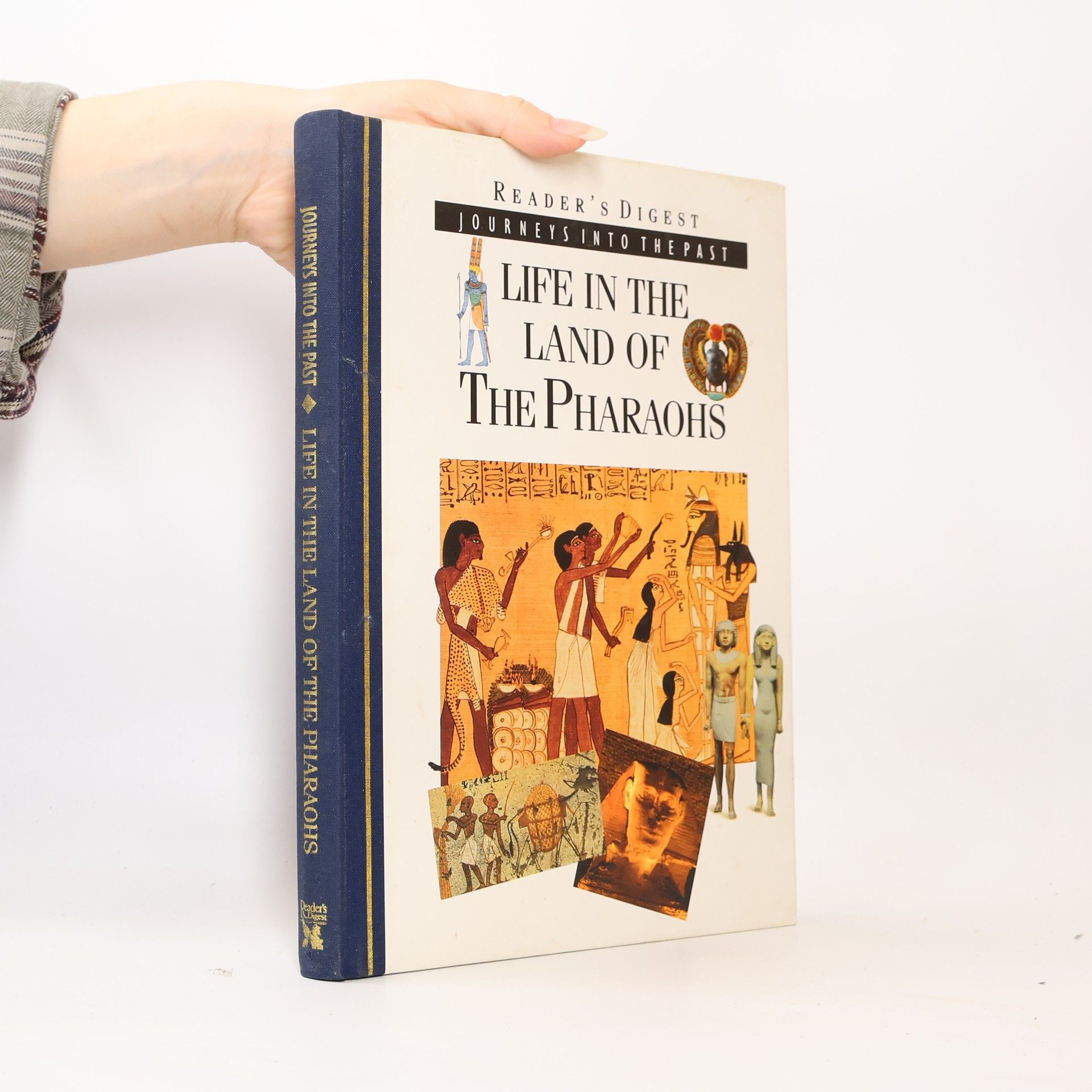 Tim Healey Life in the Land of the Pharaohs