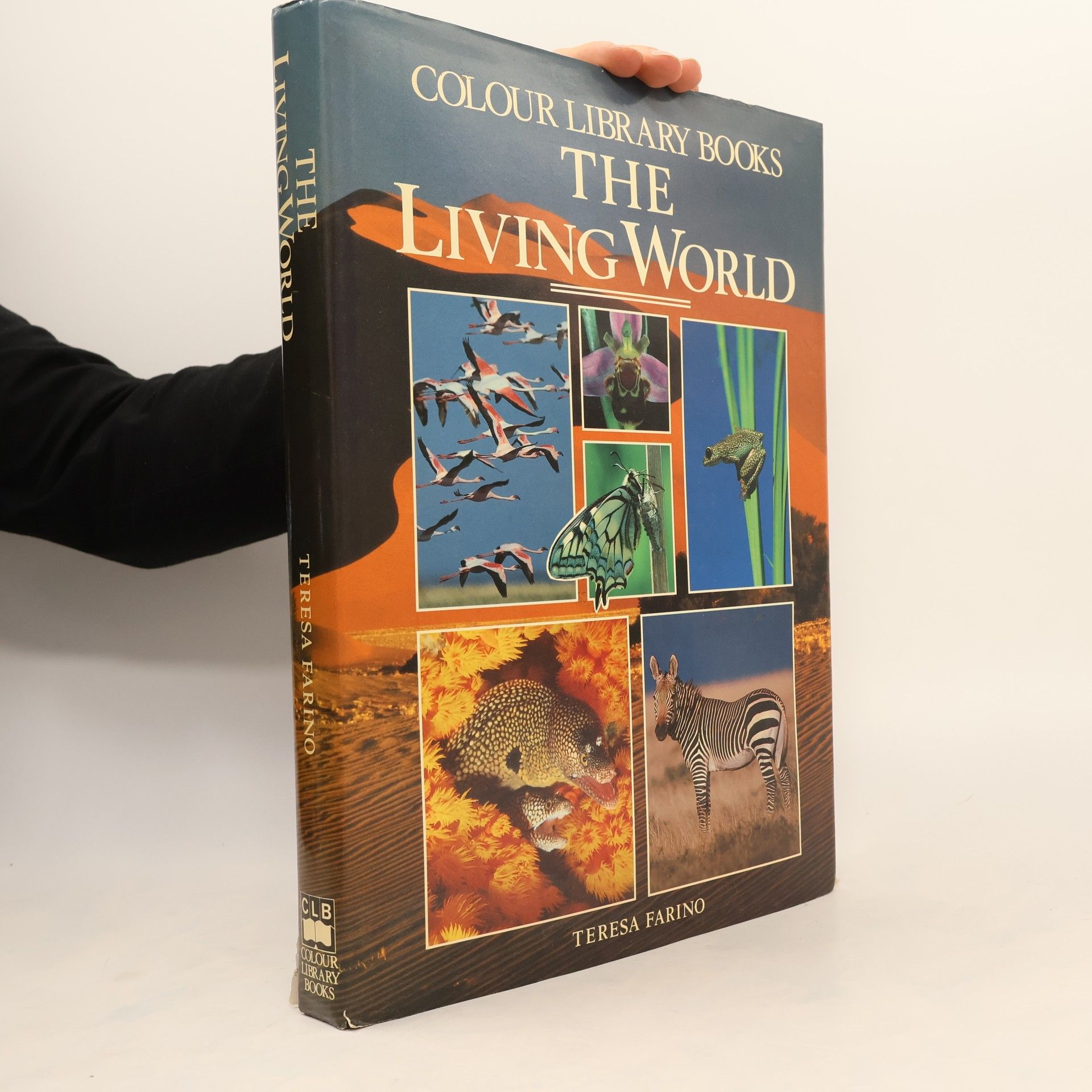 Teresa Farino The Living World