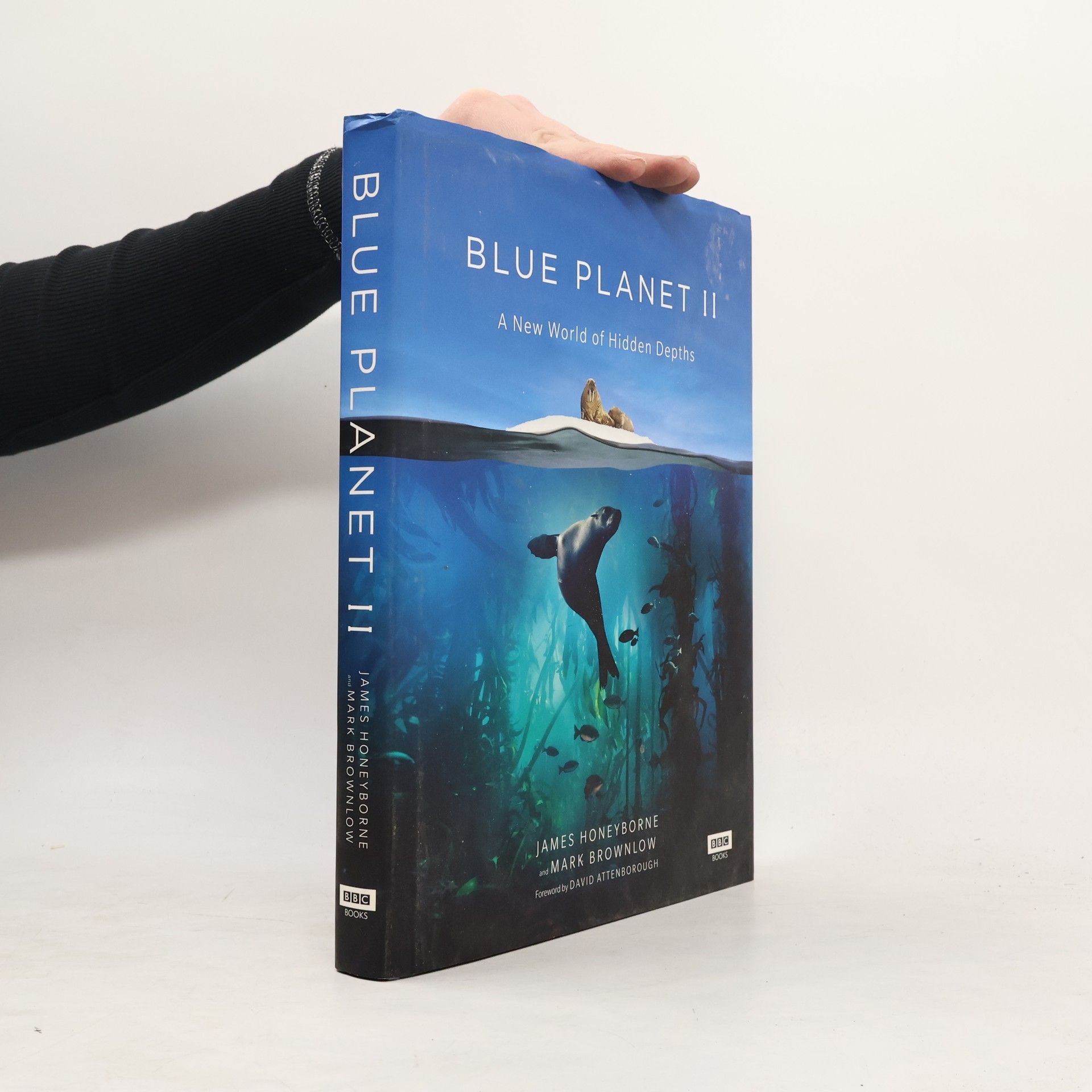 James Honeyborne Blue Planet II