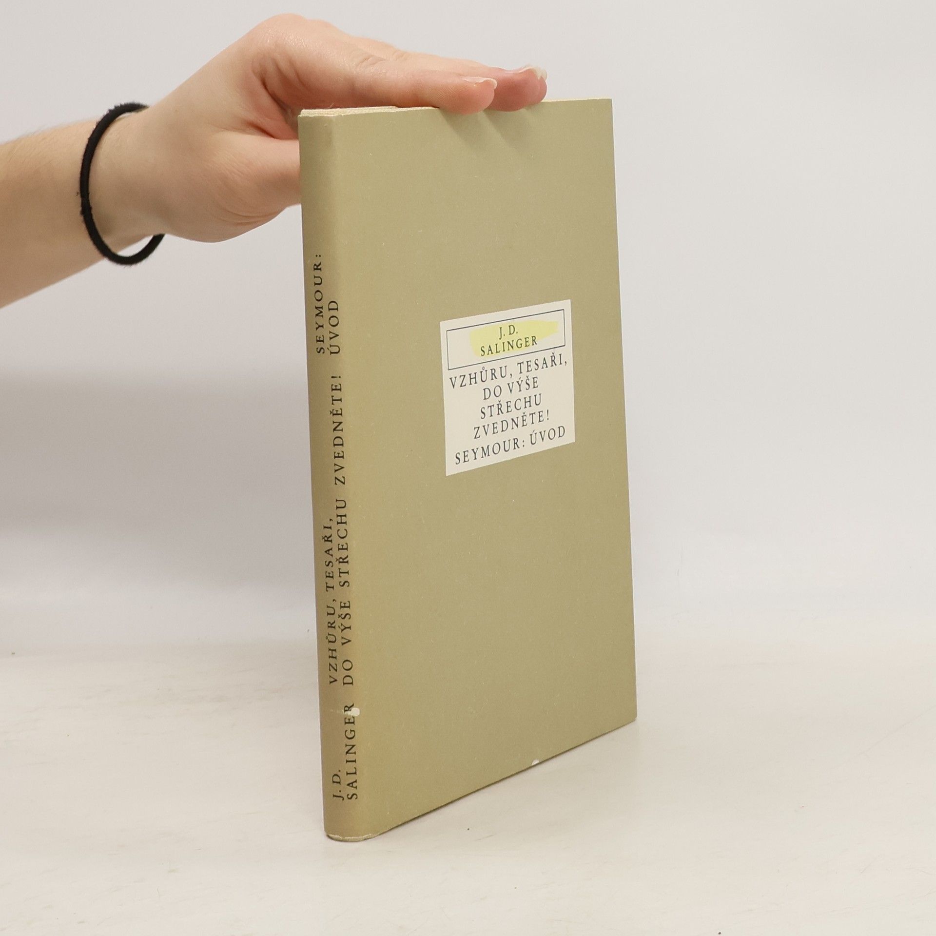 Vzhůru, tesaři, do výše střechu zvedněte! Úvod