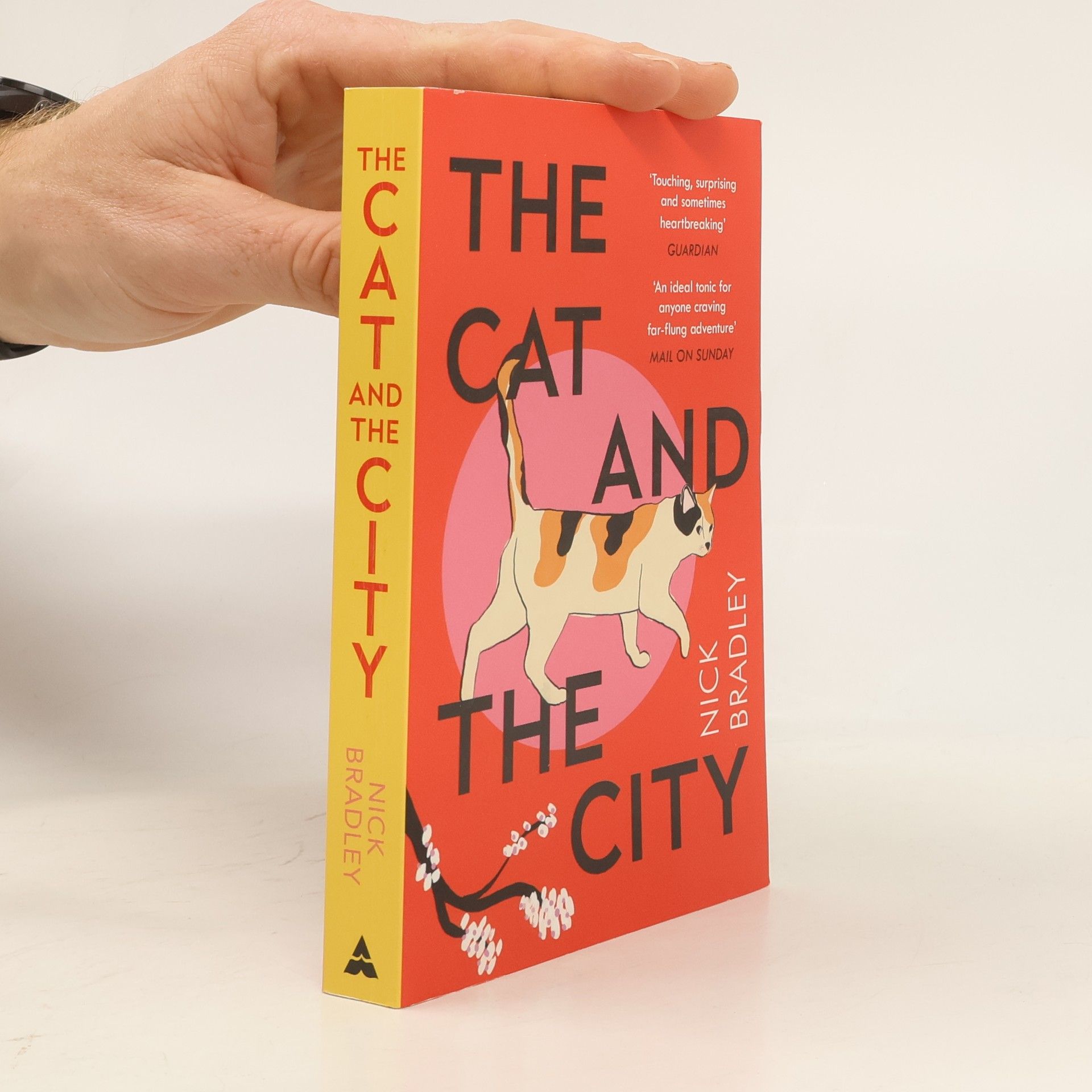 Nick Bradley The Cat and the City