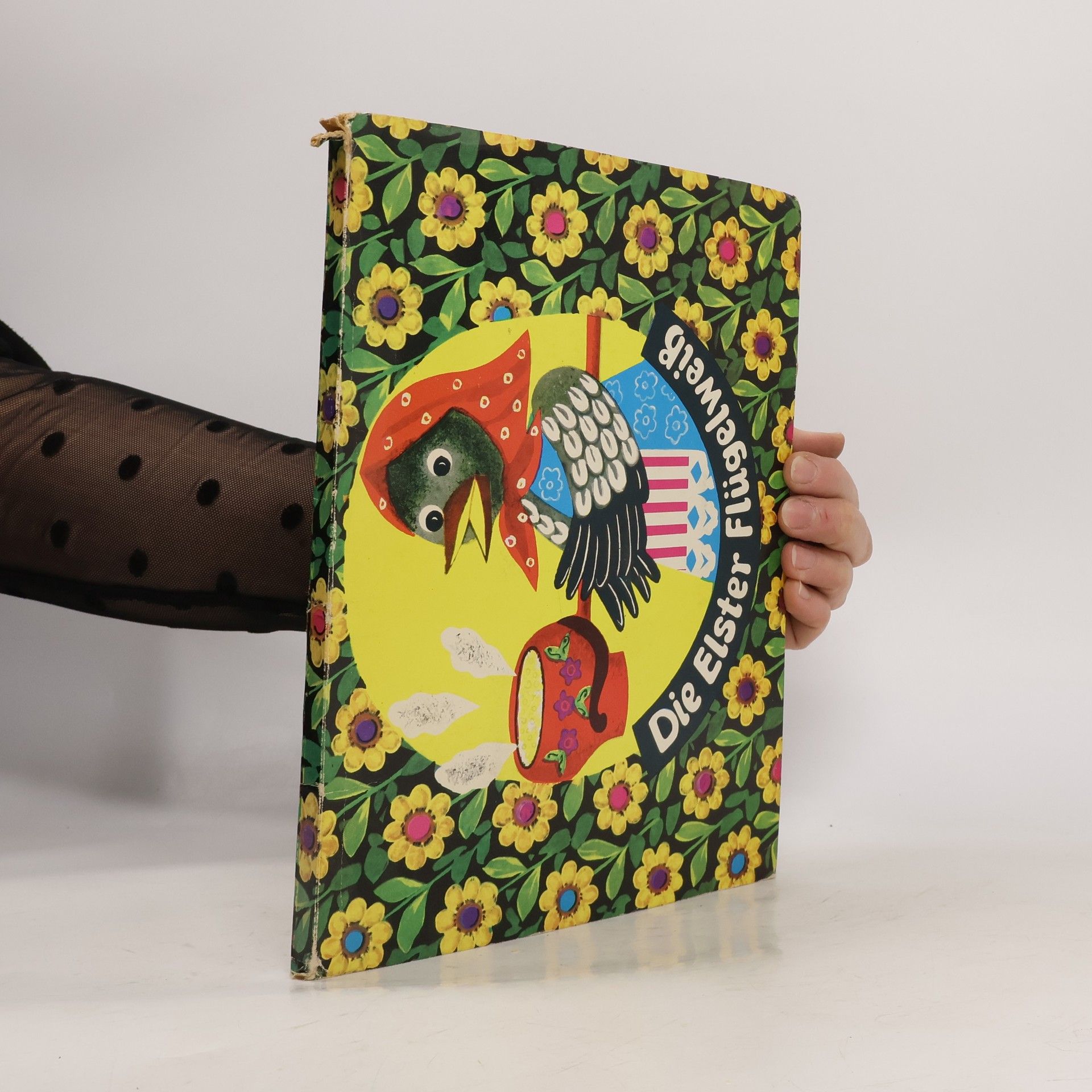 Die Elster Flügelweiß