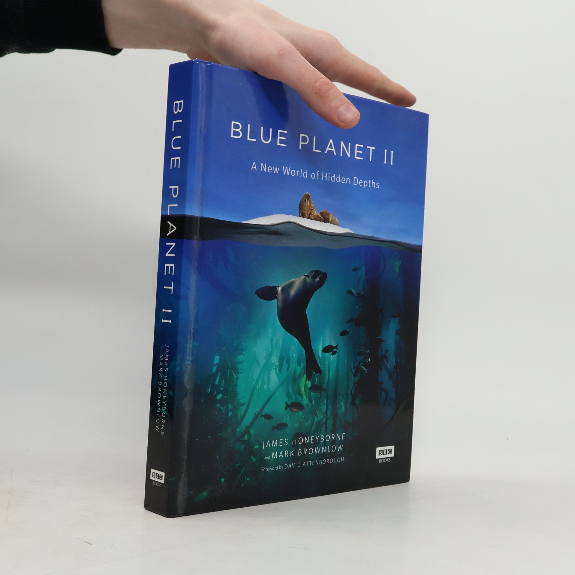 Blue Planet