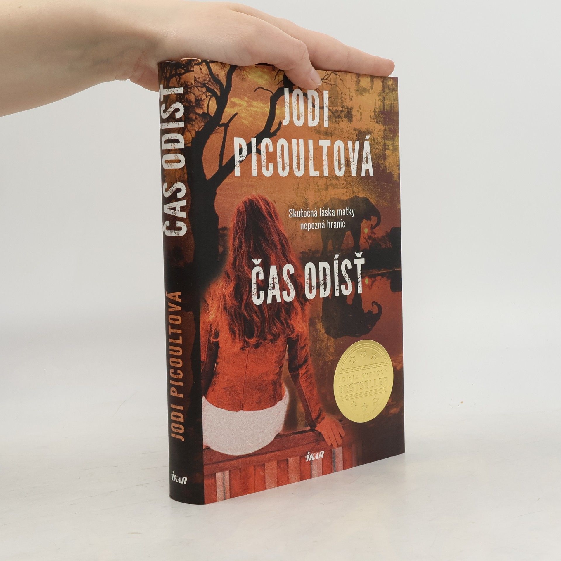Jodi Picoult Čas odísť