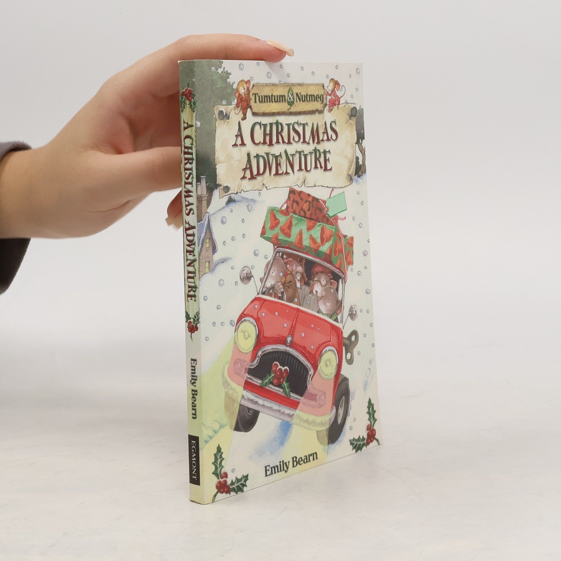 Emily Bearn Tumtum & Nutmeg: A Christmas Adventure