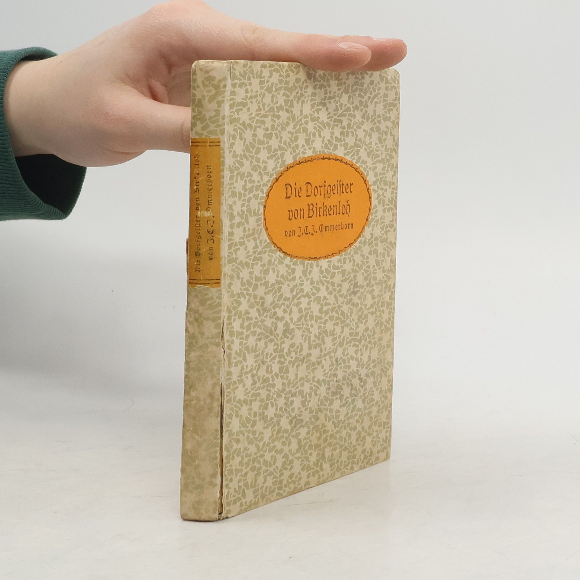 Johann Christian Josef Ommerborn Die Dorfgeister von Birkenloh