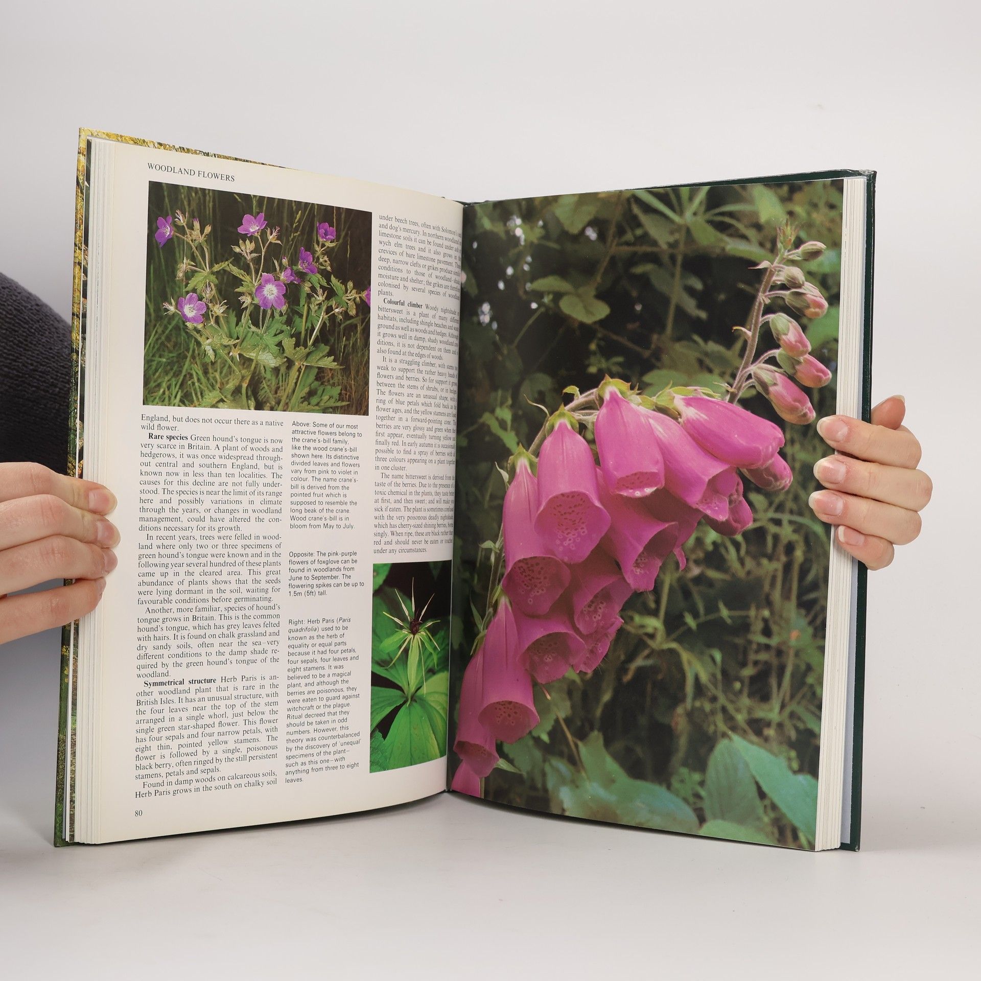 Various authors The Ever-changing Woodlands