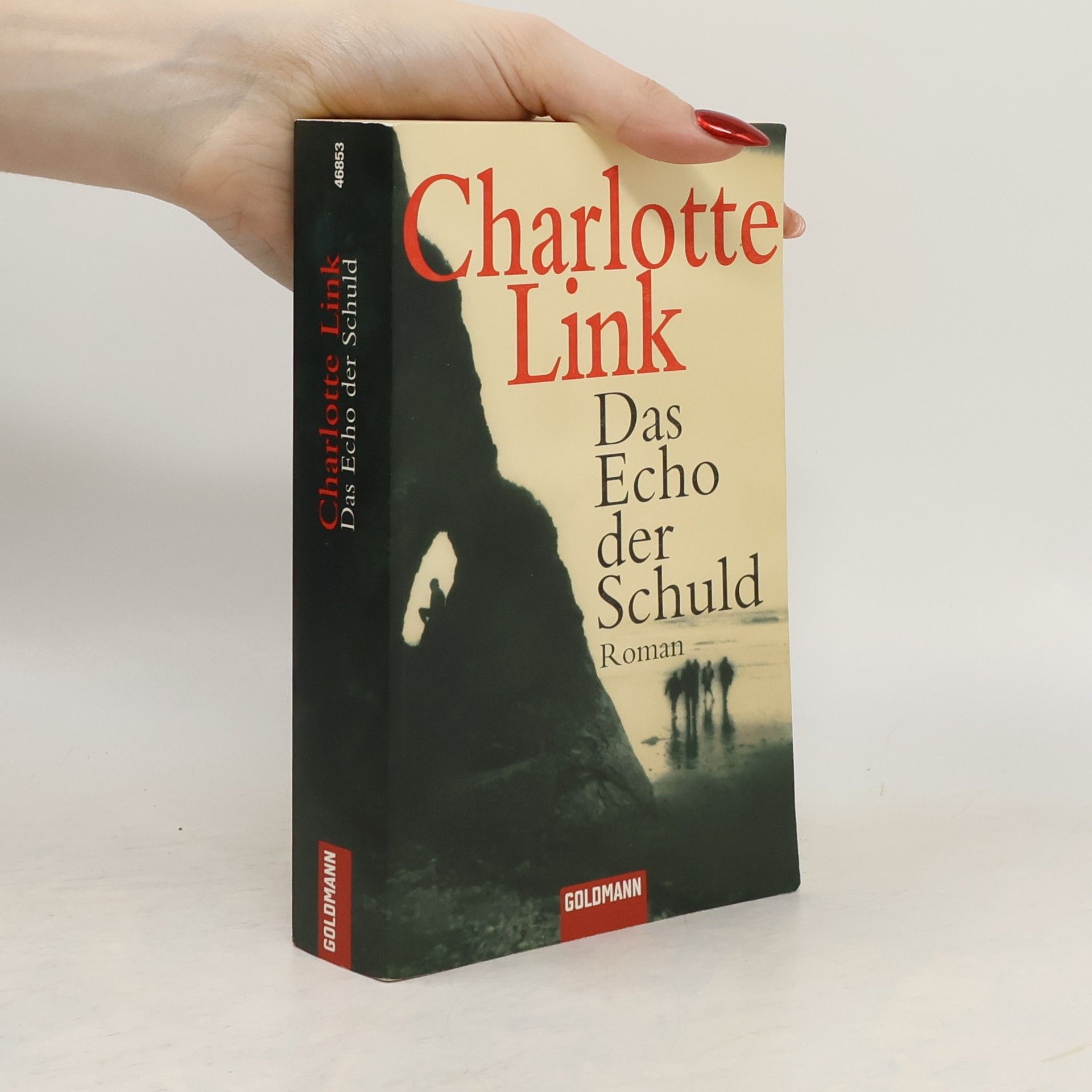 Charlotte Link Das Echo der Schuld