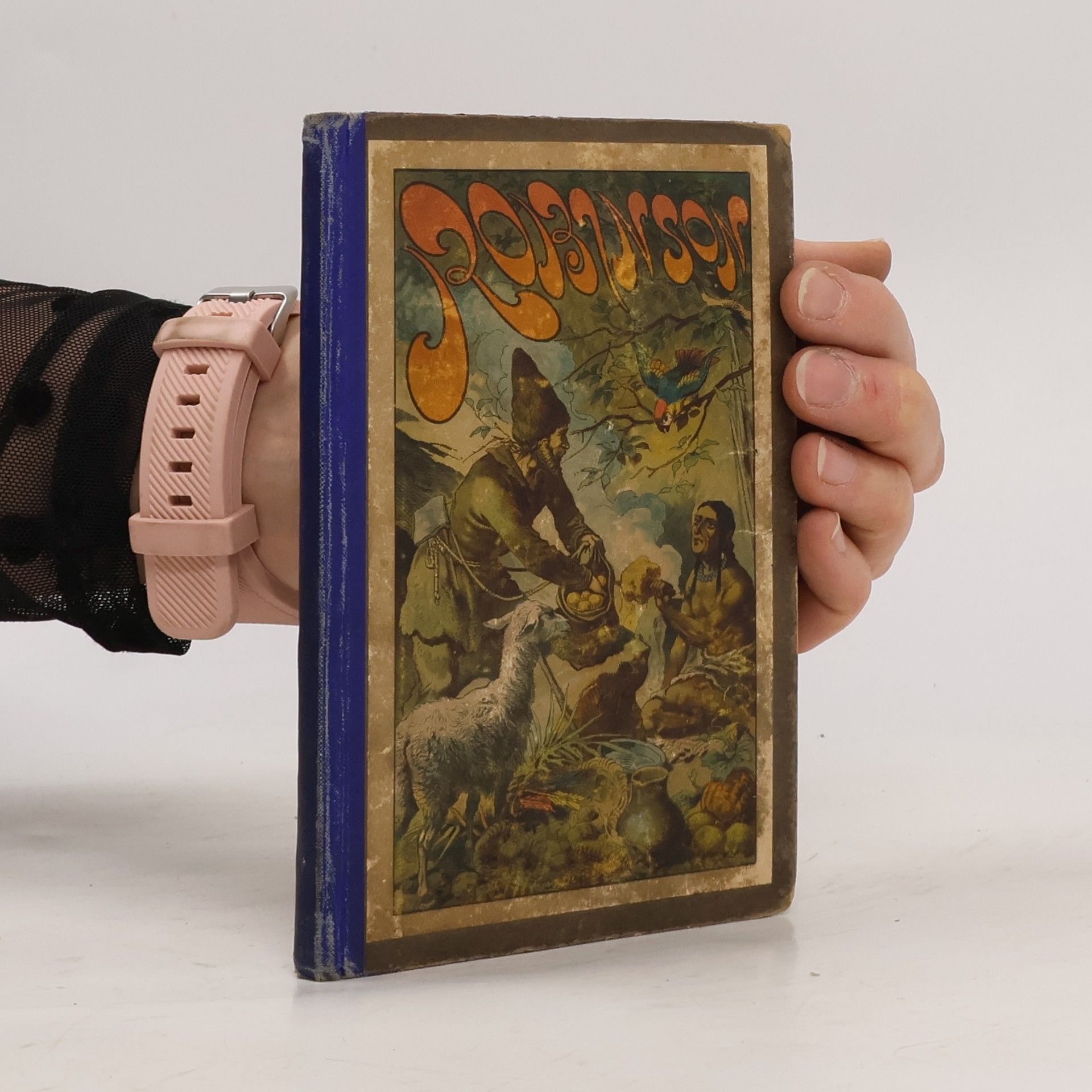 Ottmar J. H. Schönhuth Robinson Crusoe's Seefahrten und Abenteuer