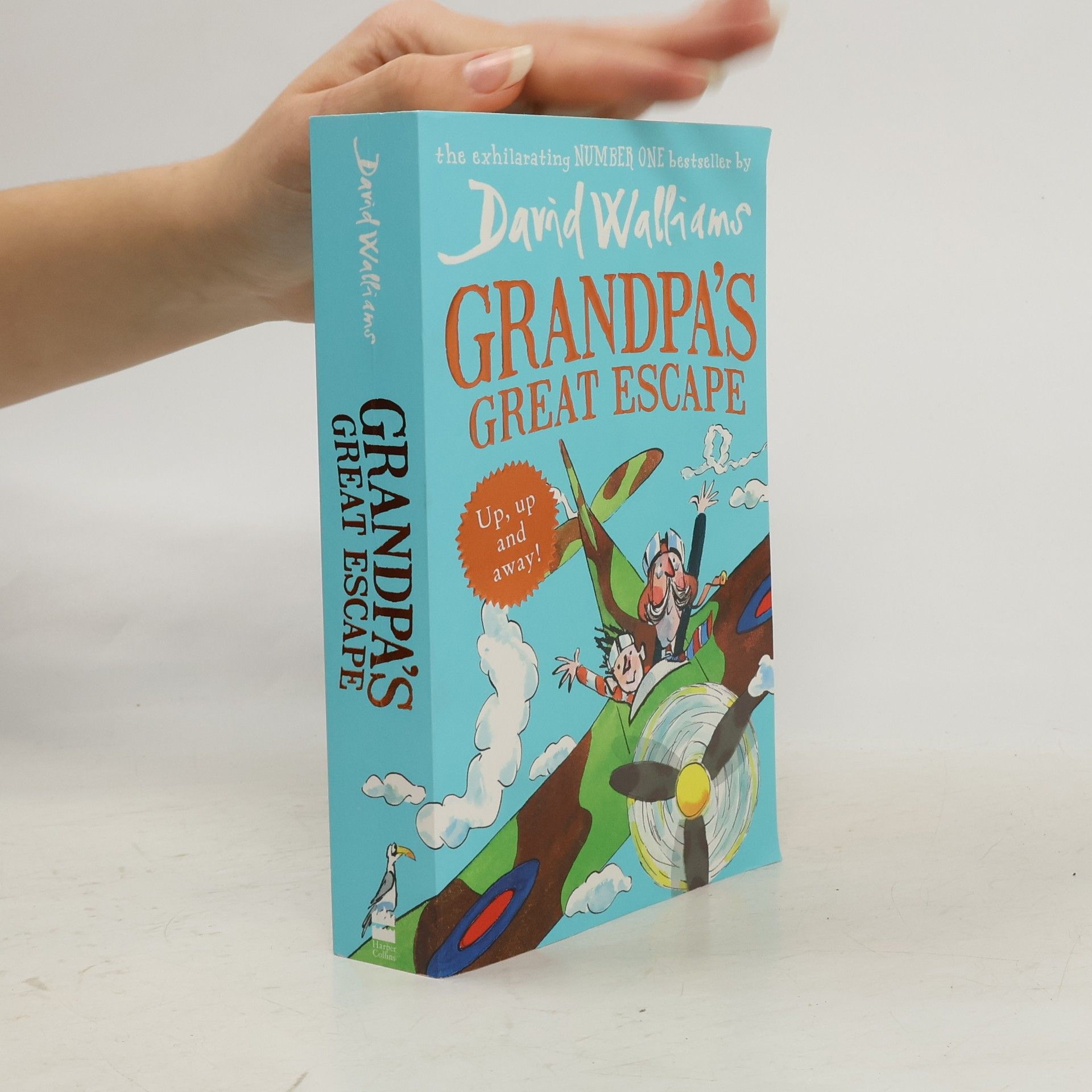 David Walliams Grandpa's Great Escape