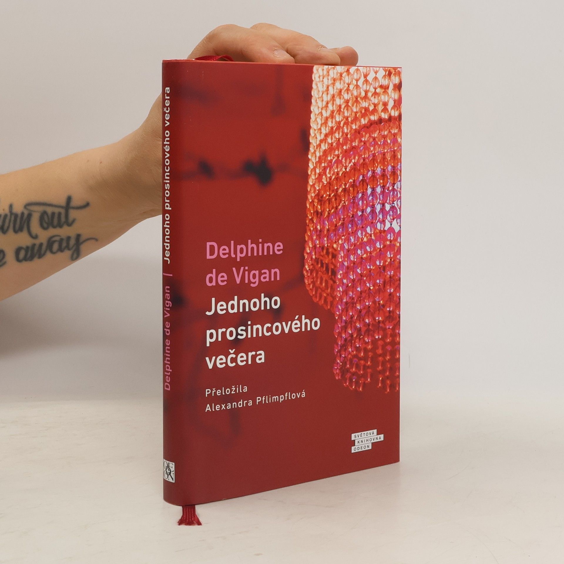 Delphine de Vigan Jednoho prosincového večera