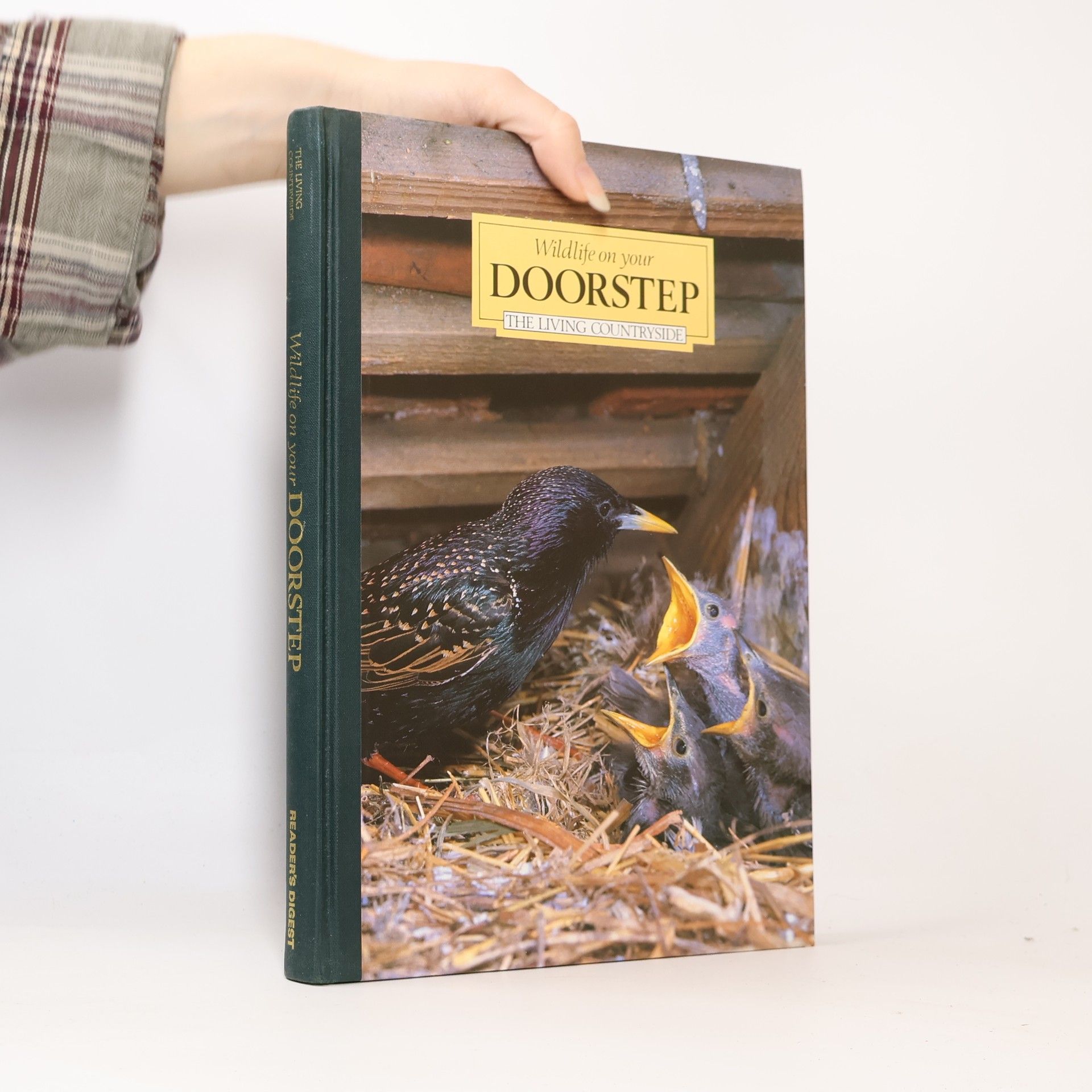 Bob Gibbons Wildlife on Your Doorstep