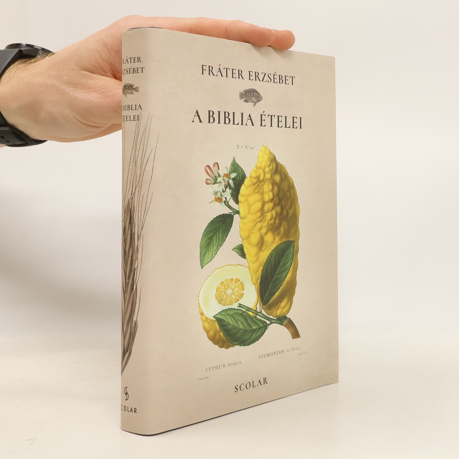 Erzsébet Fráter A Biblia ételei