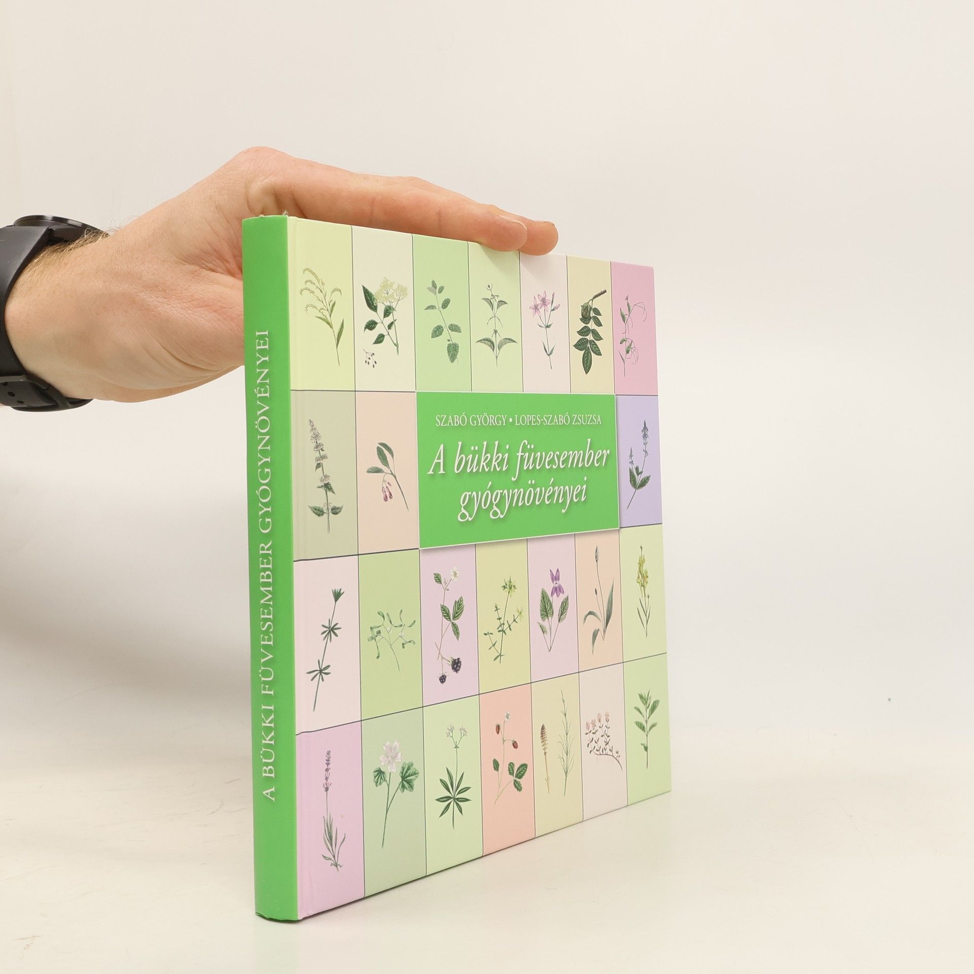 Szabó György A bükki füvesember gyógynövényei