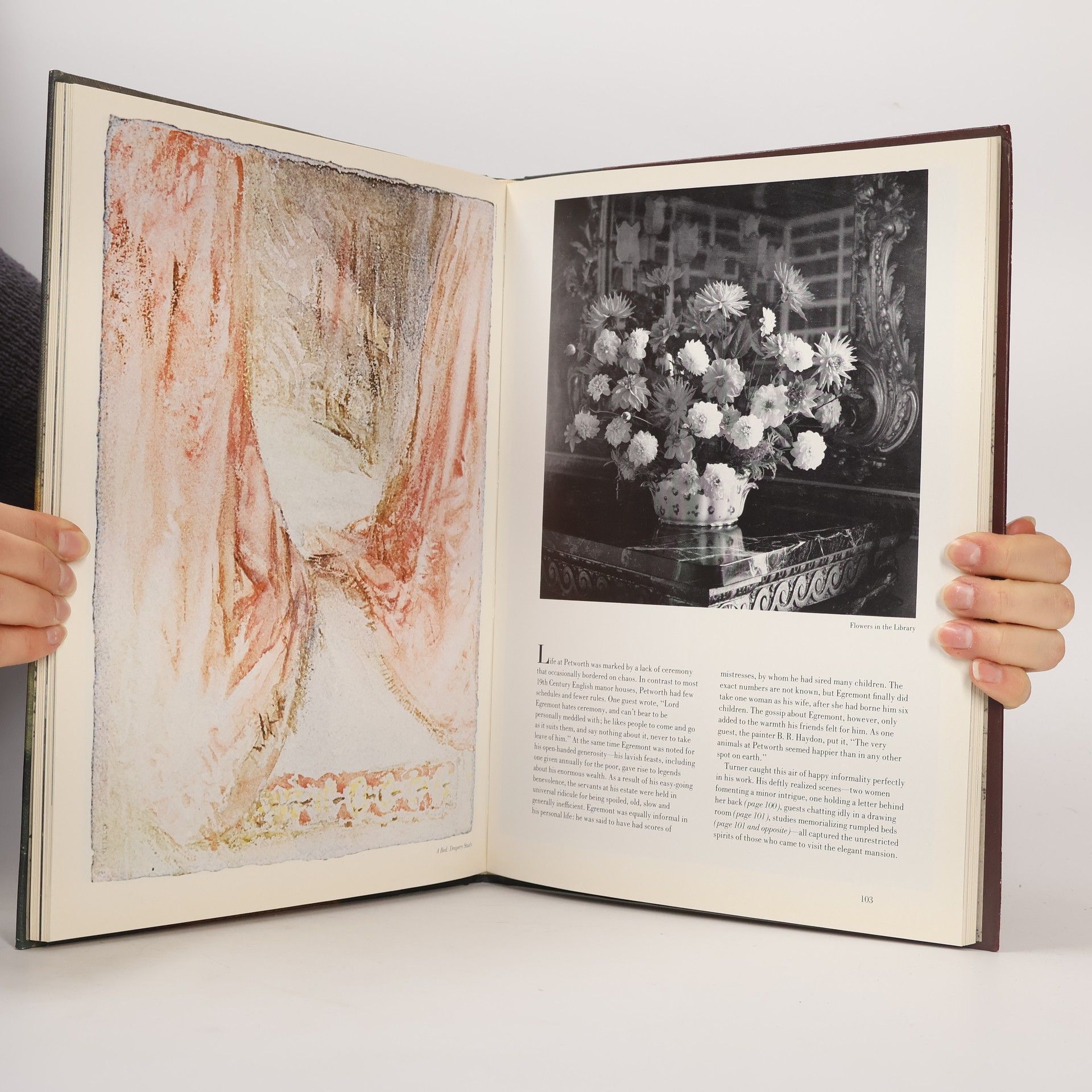 Diana Hirsch The World of Turner