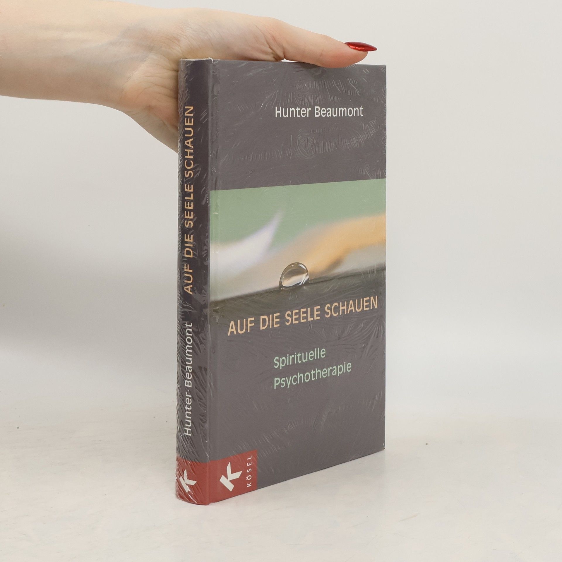 Hunter Beaumont Auf die Seele schauen