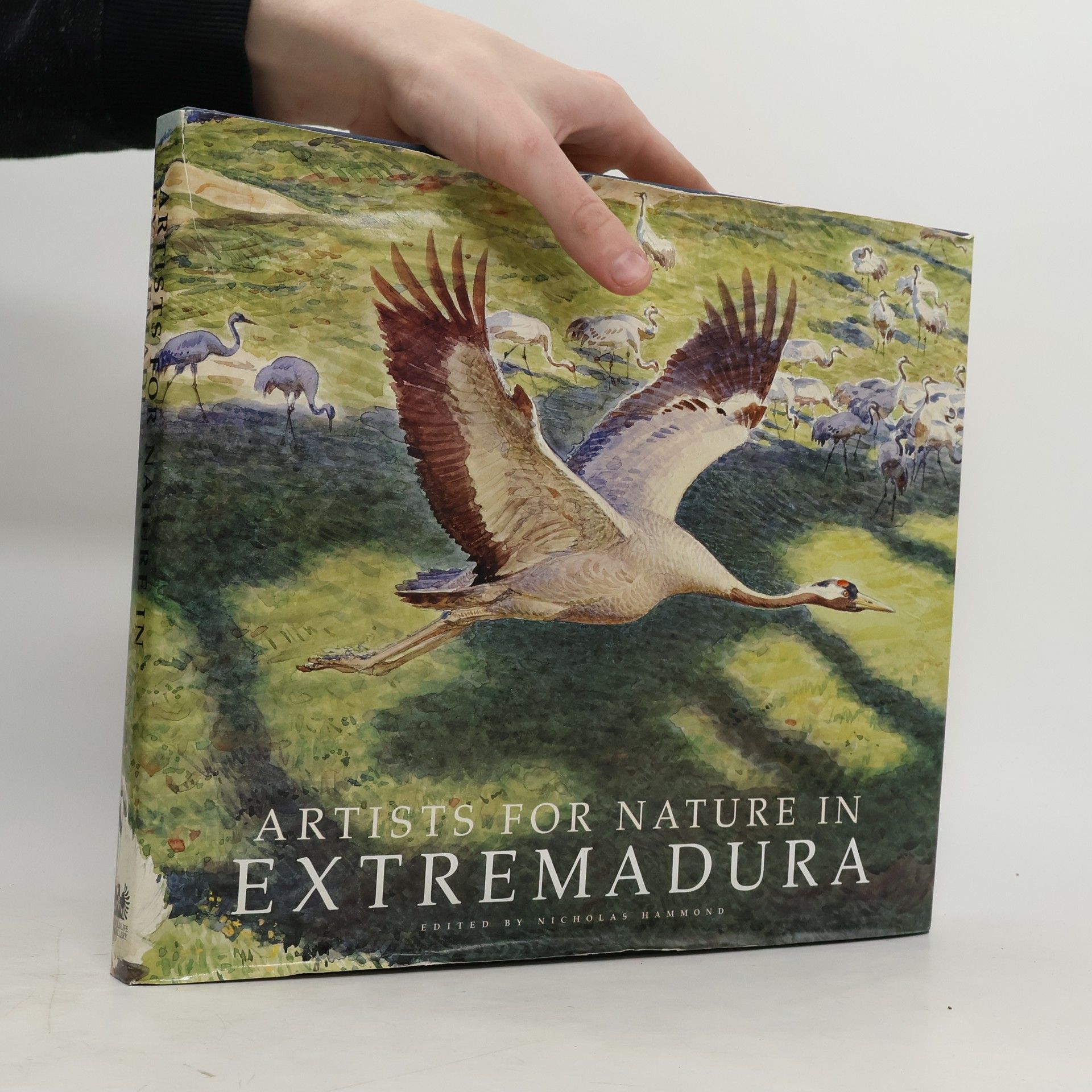 Nicholas Hammond Artists for Nature in Extremadura