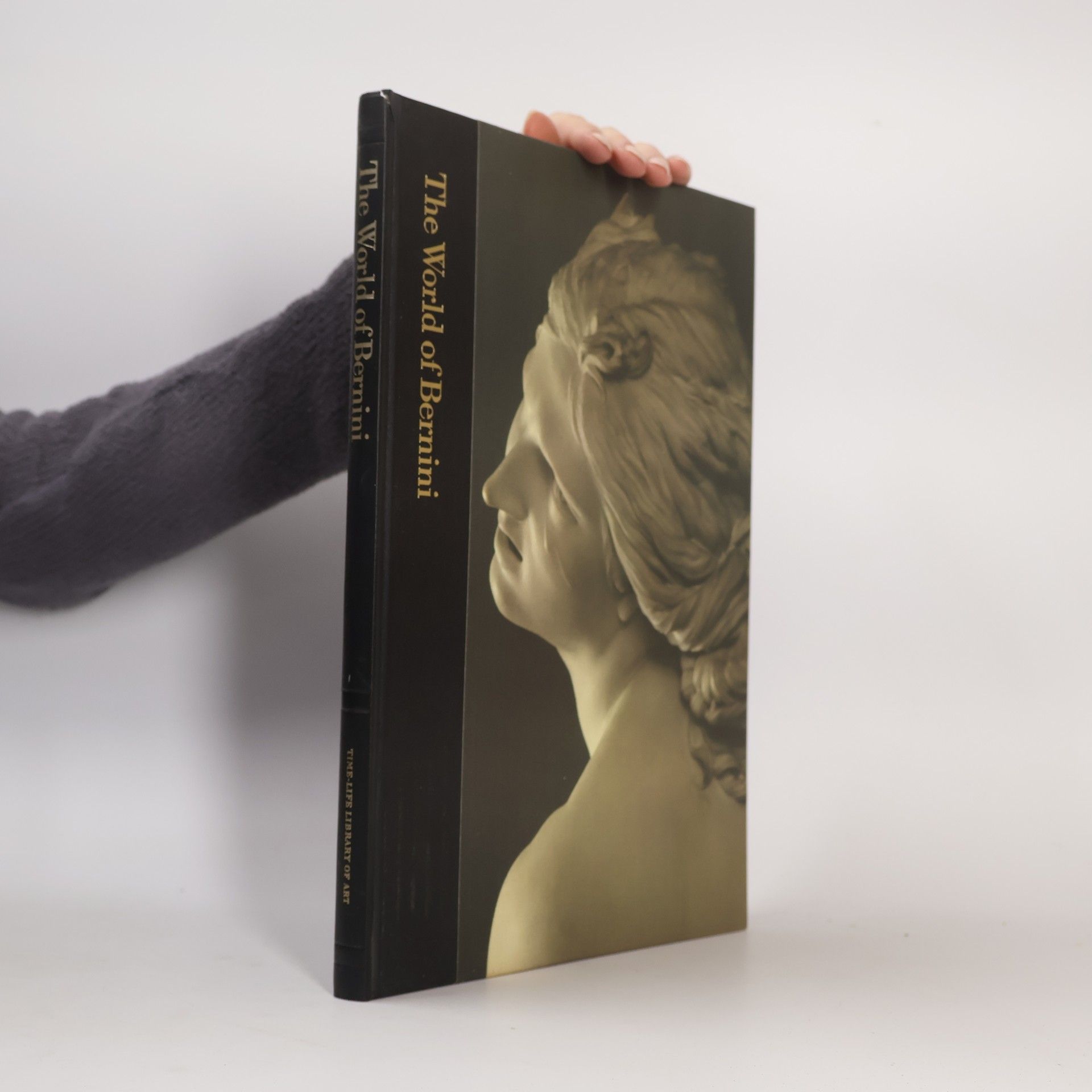 Robert Wallace Bernini und seine Zeit