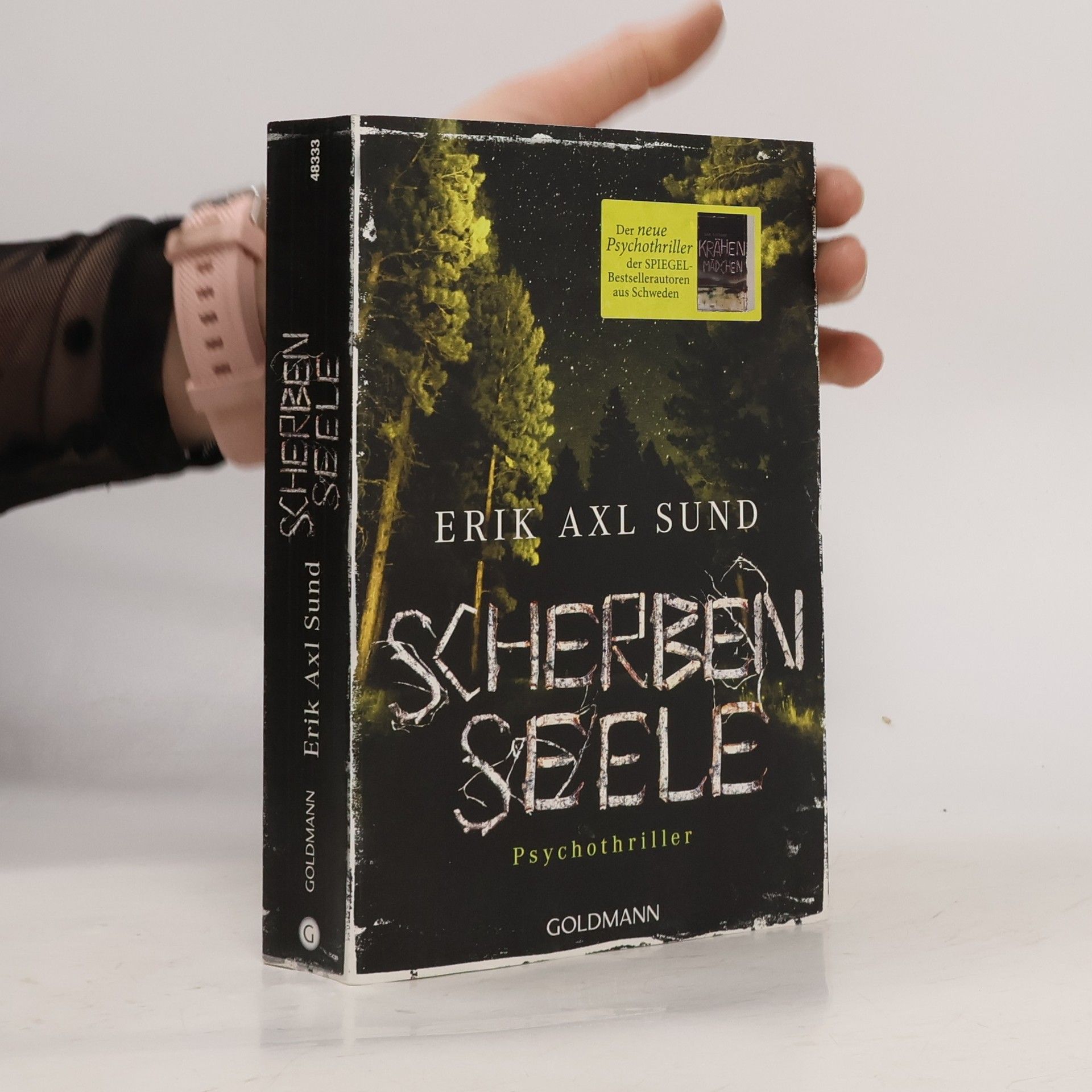 Erik Axl Sund Scherbenseele