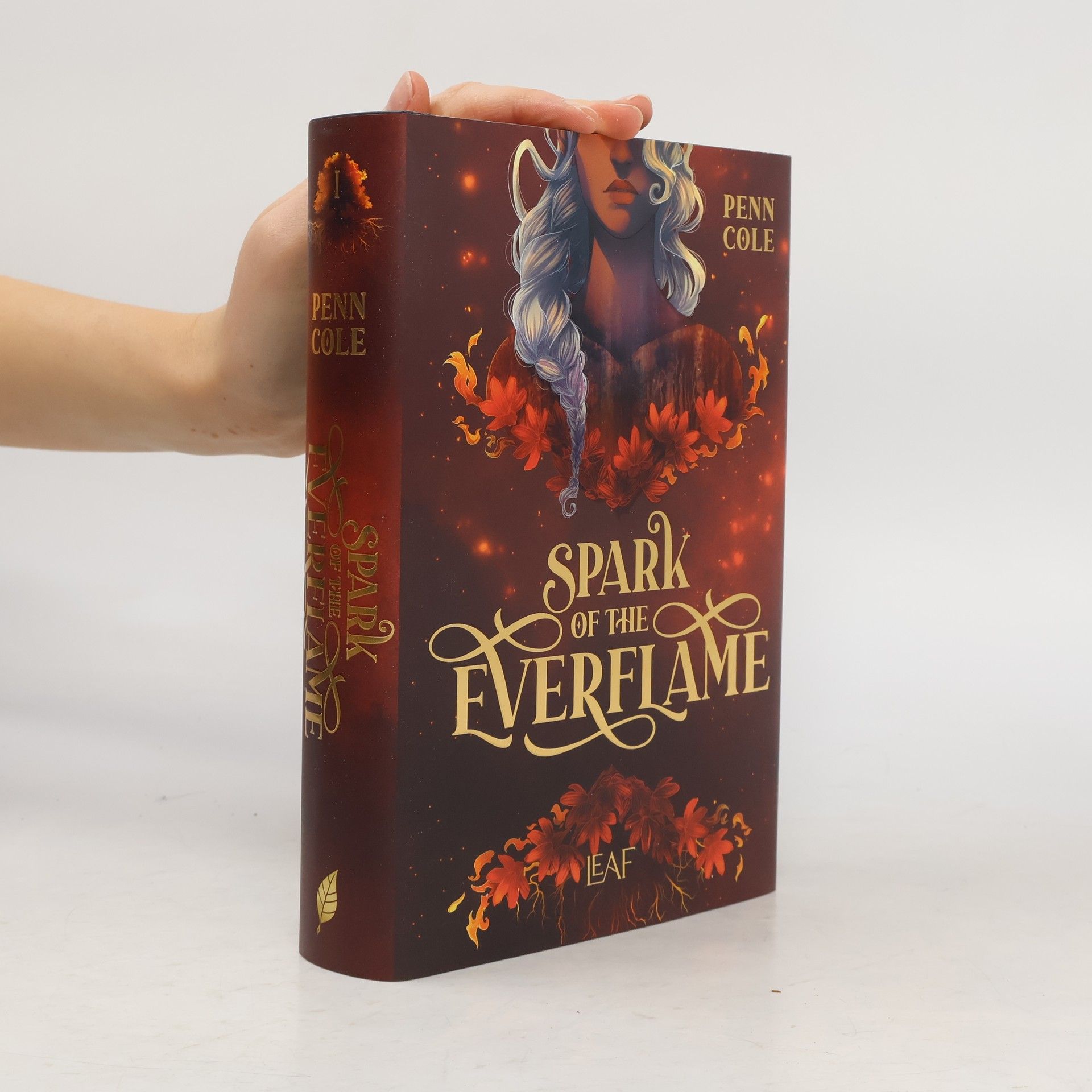 Penn Cole Spark of the Everflame / Kindred´s Curse Saga Bd.1