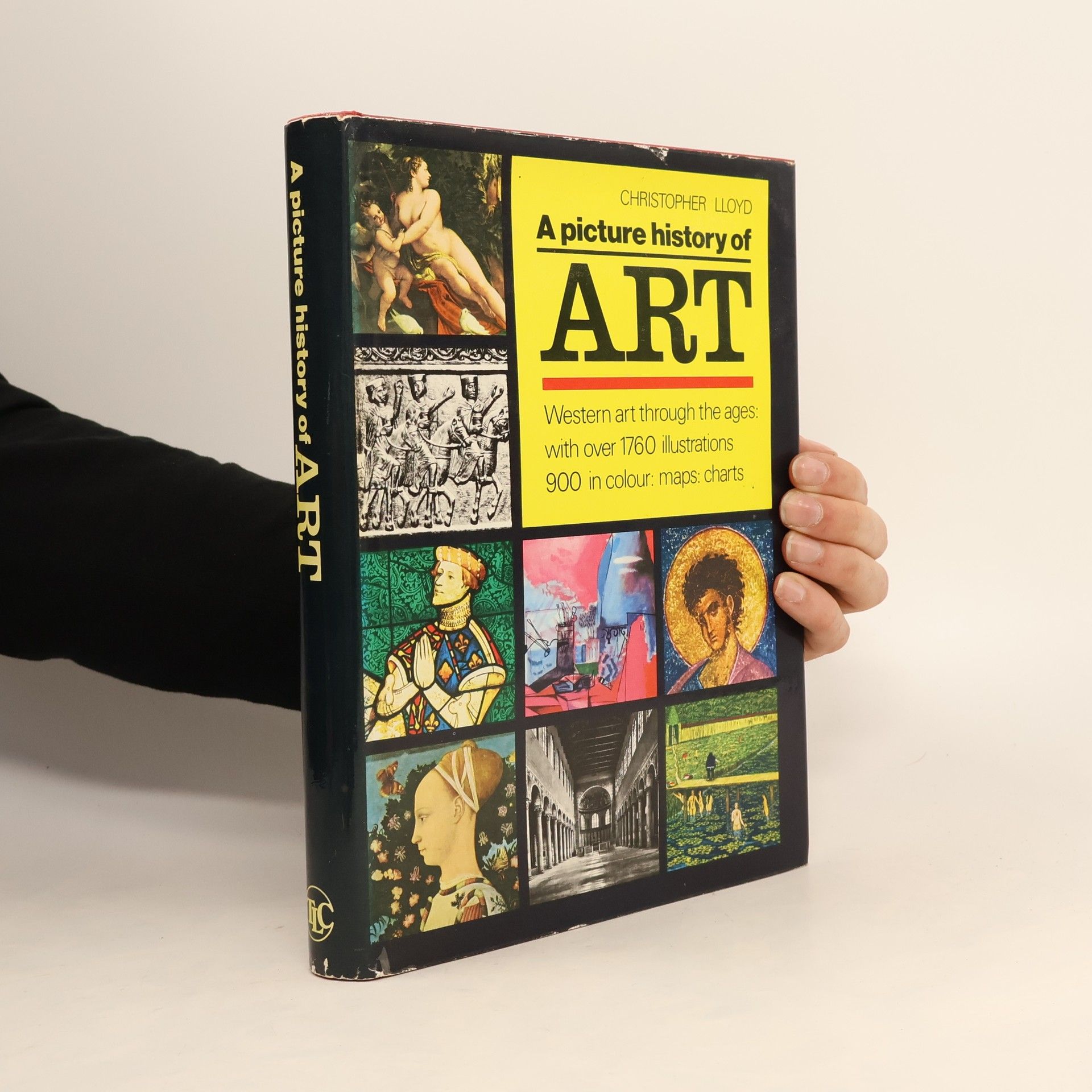 Christopher Lloyd A Picture History of Art: Western Art Through the Ages