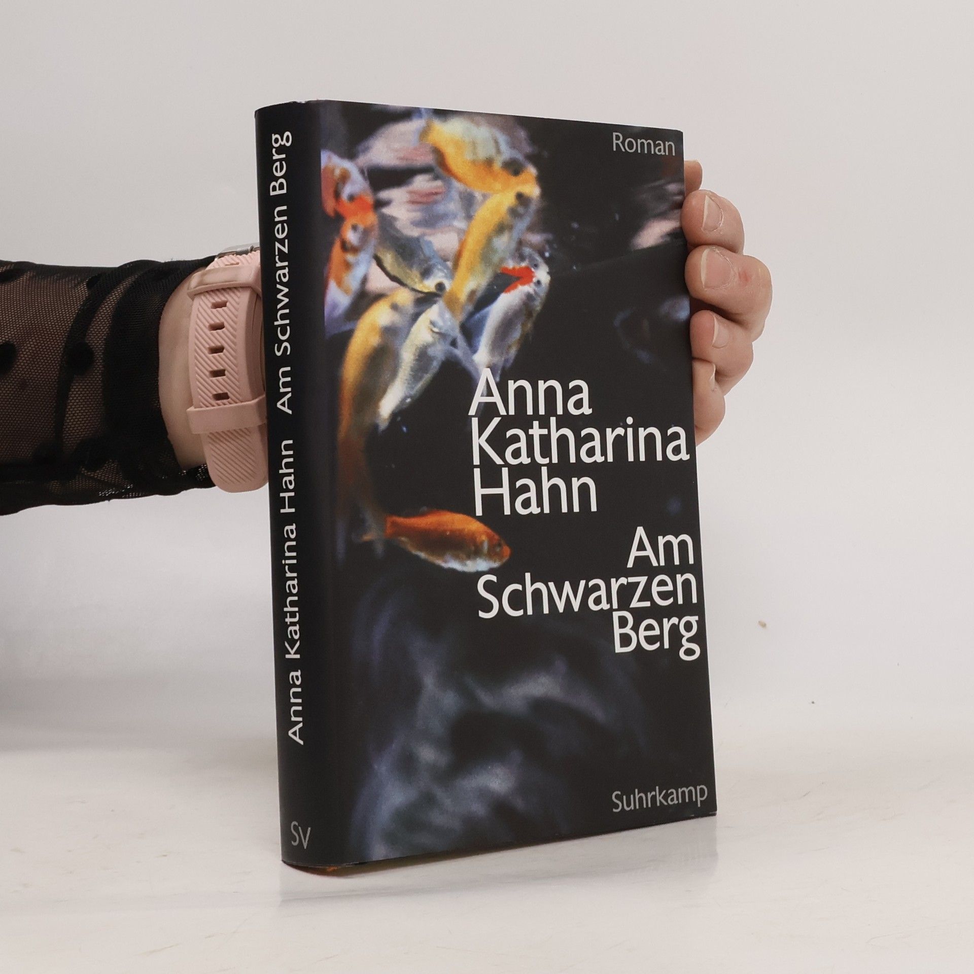 Anna Katharina Hahn Am Schwarzen Berg