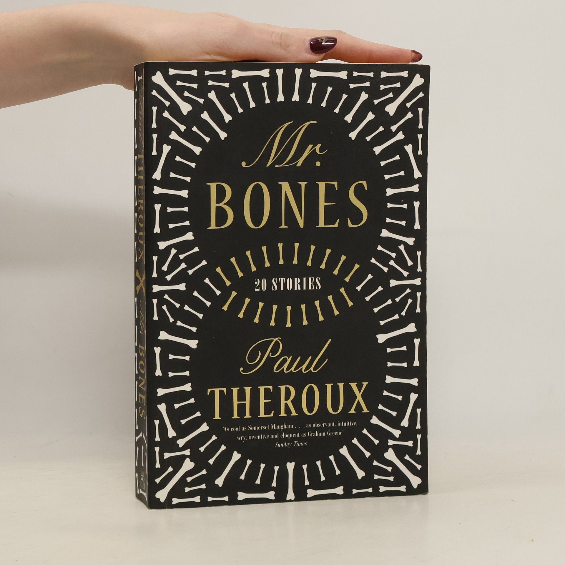 Paul Theroux Mr. Bones