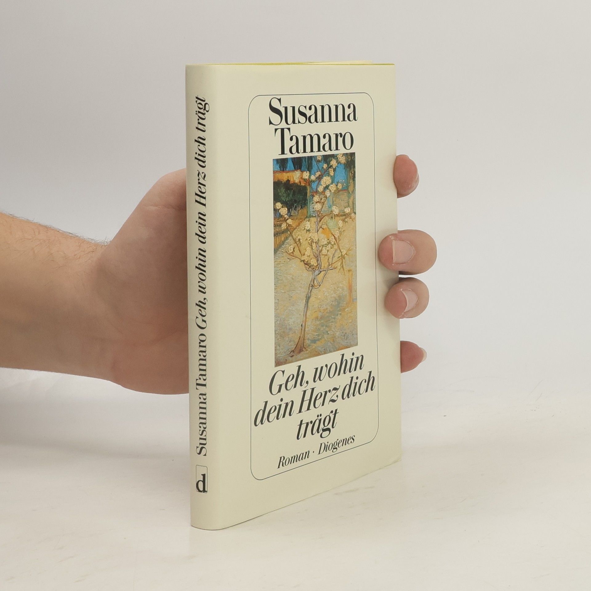 Susanna Tamaro Geh, wohin dein Herz dich trägt