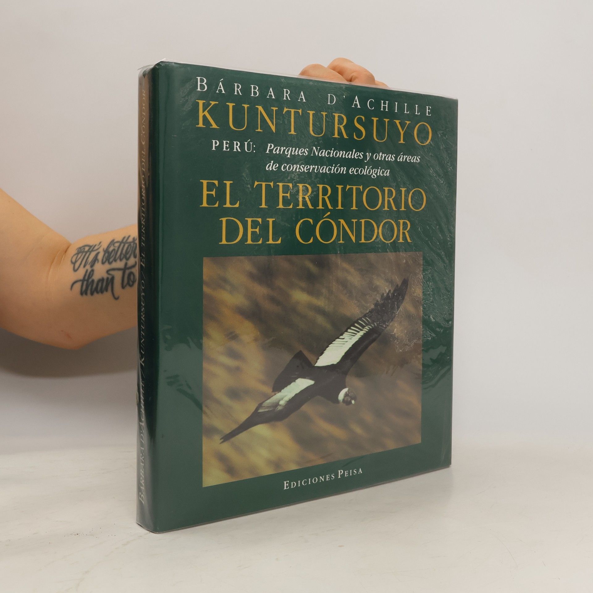 Bárbara d' Achille Kuntursuyo. El territorio del cóndor