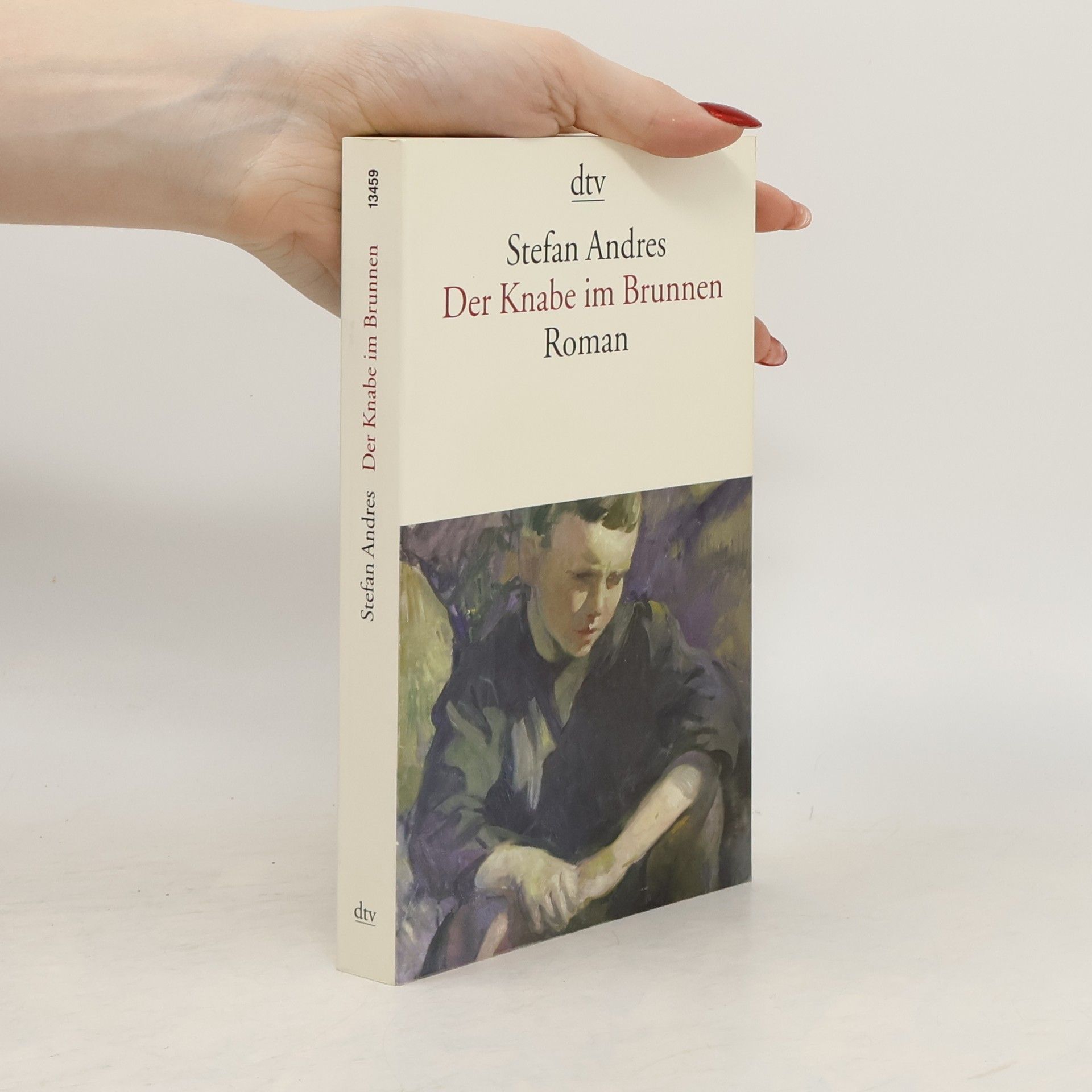 Stefan Andres Der Knabe im Brunnen