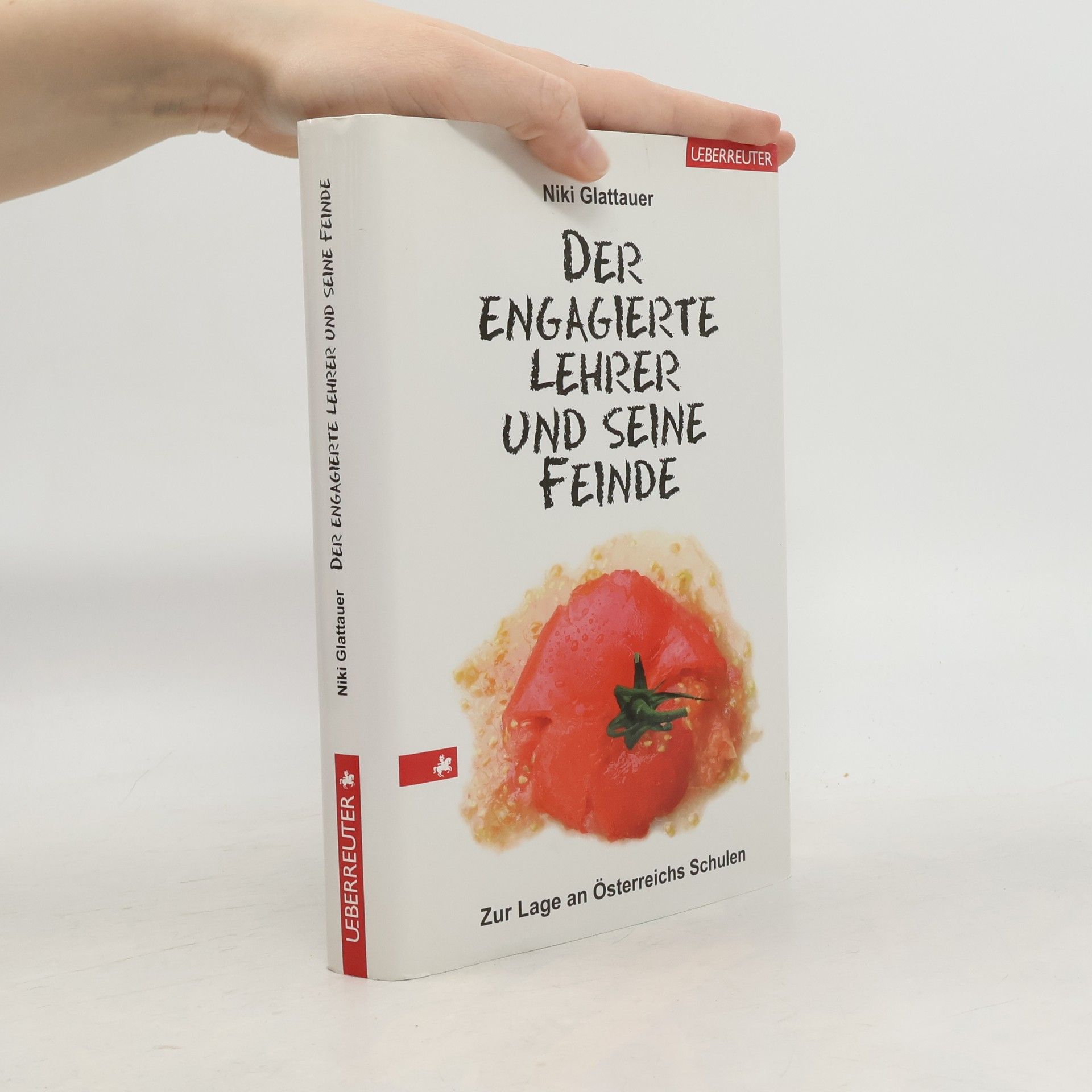 Niki Glattauer Der engagierte Lehrer und seine Feinde
