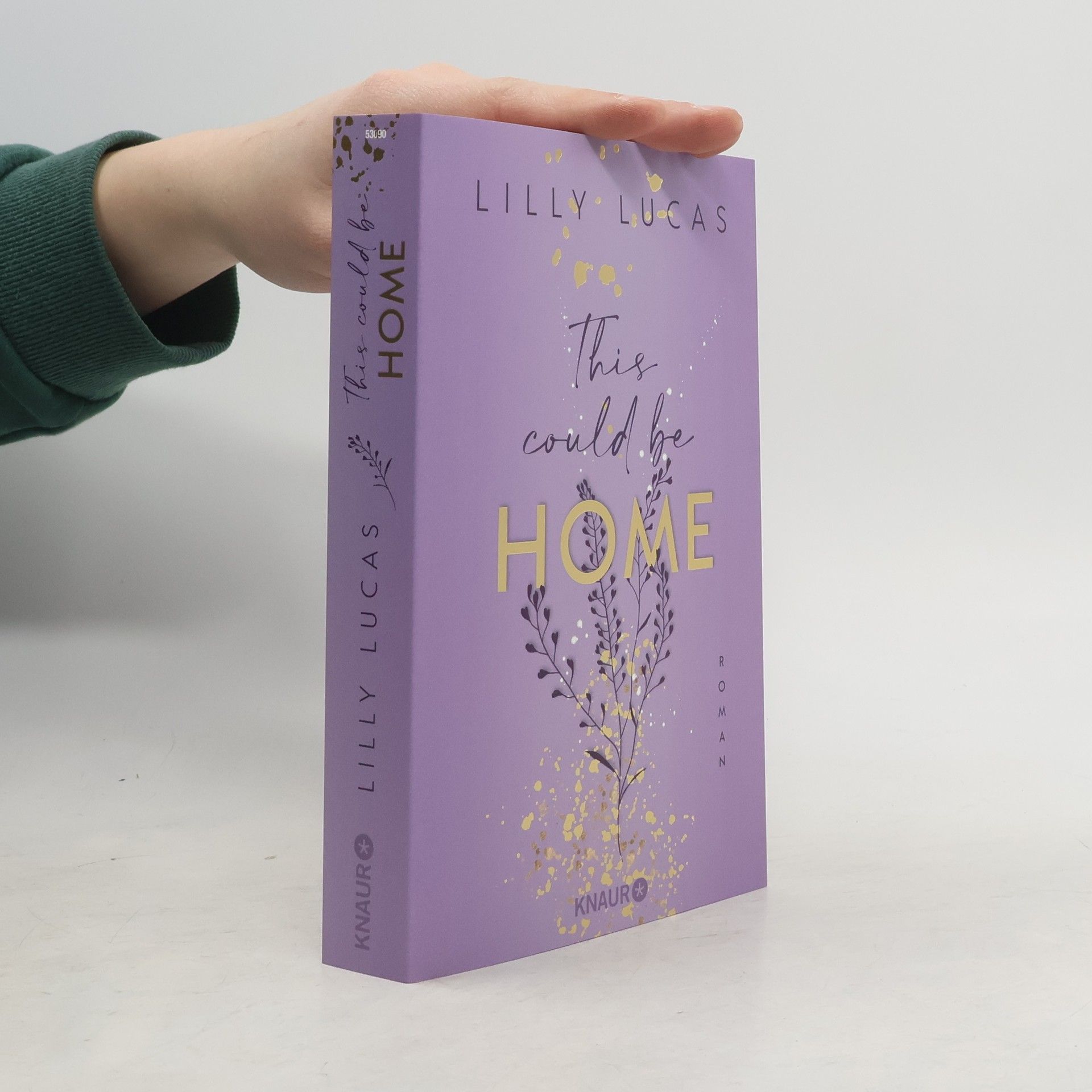 Lilly Lucas This could be home / Hawaii Love Bd.2
