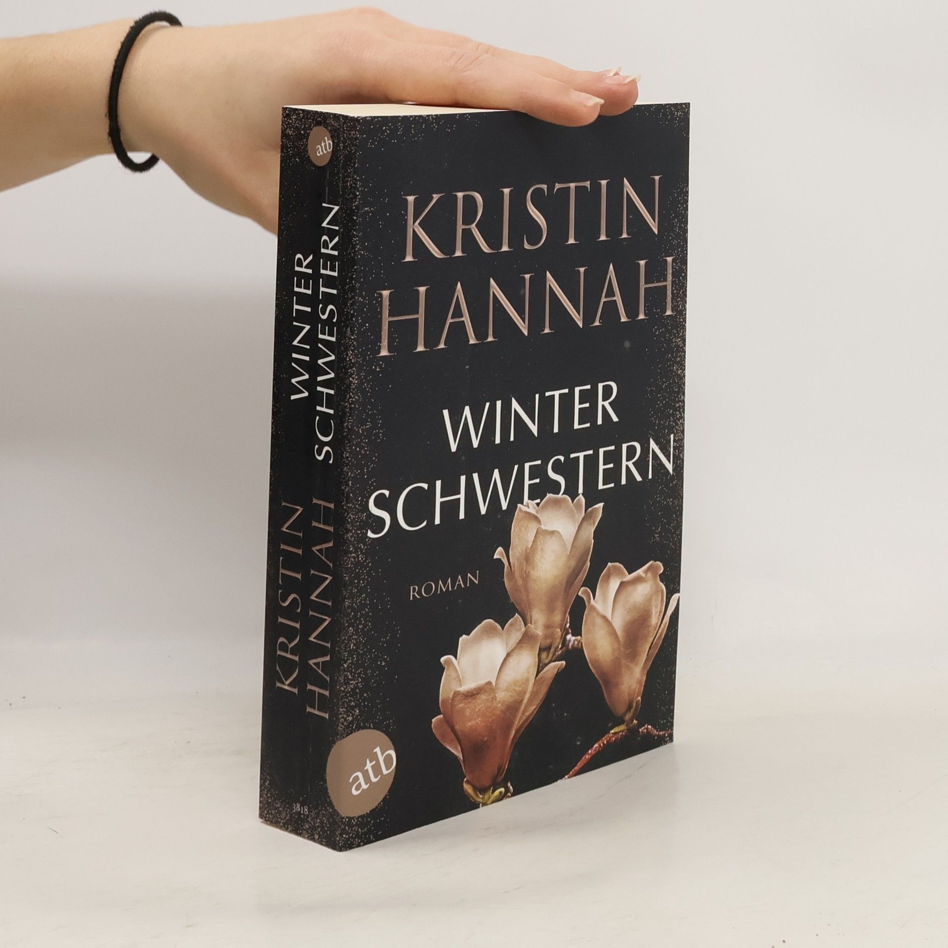 Kristin Hannah Winterschwestern